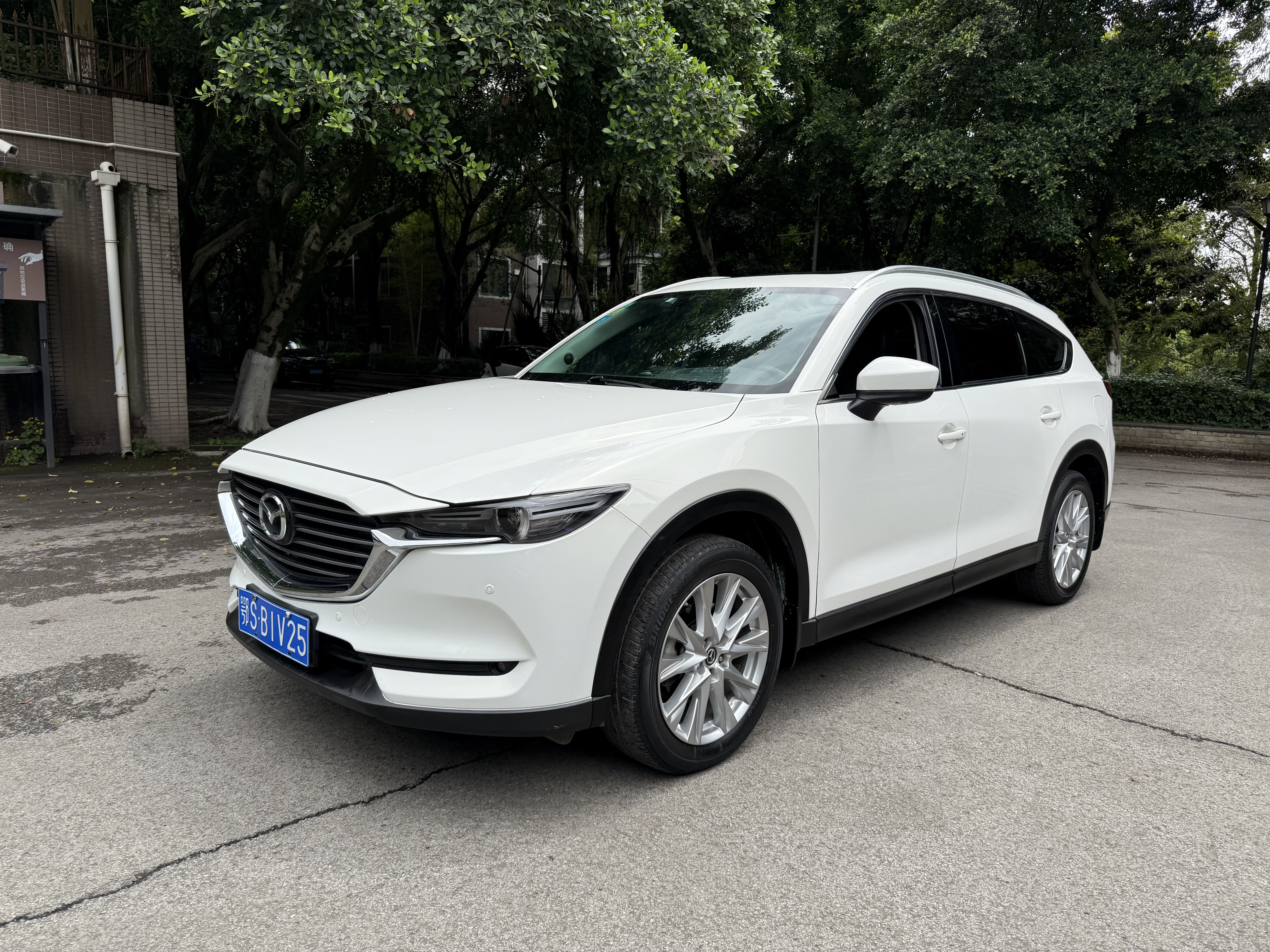 Mazda CX-8 2019 汽车图片 