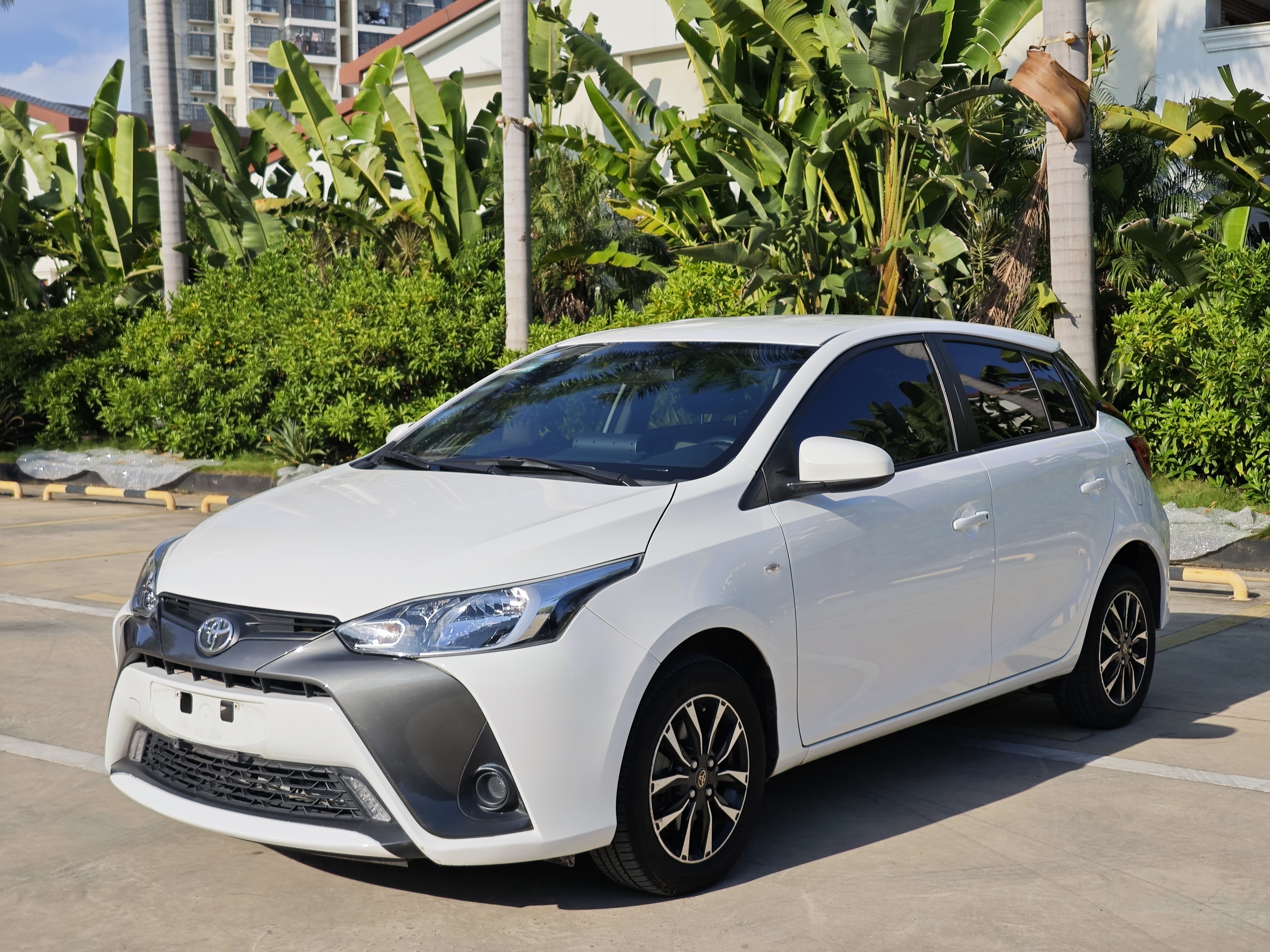 Yaris L Zhixuan 2019 car image 