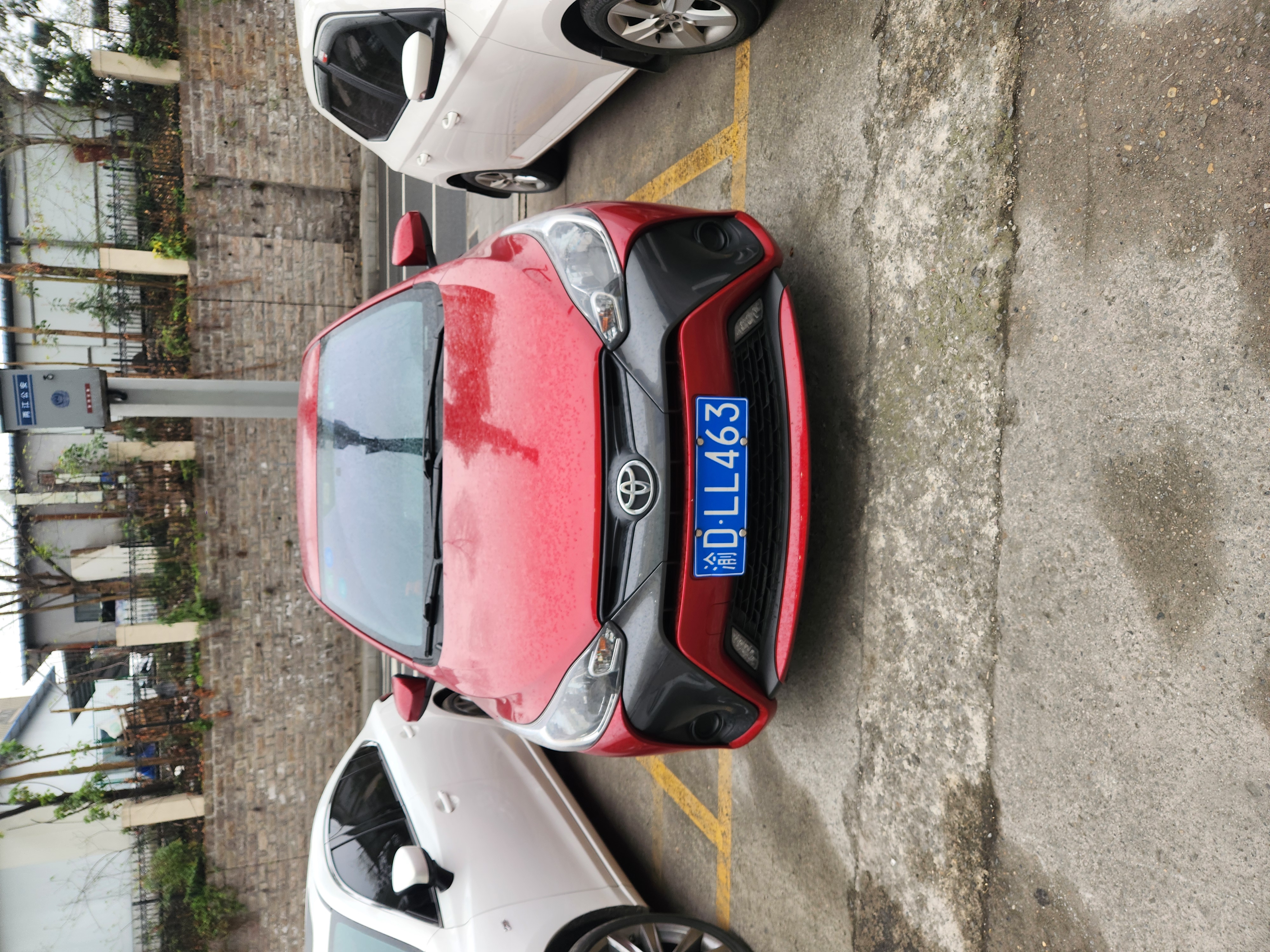 Yaris L Zhixuan 2019 car image 