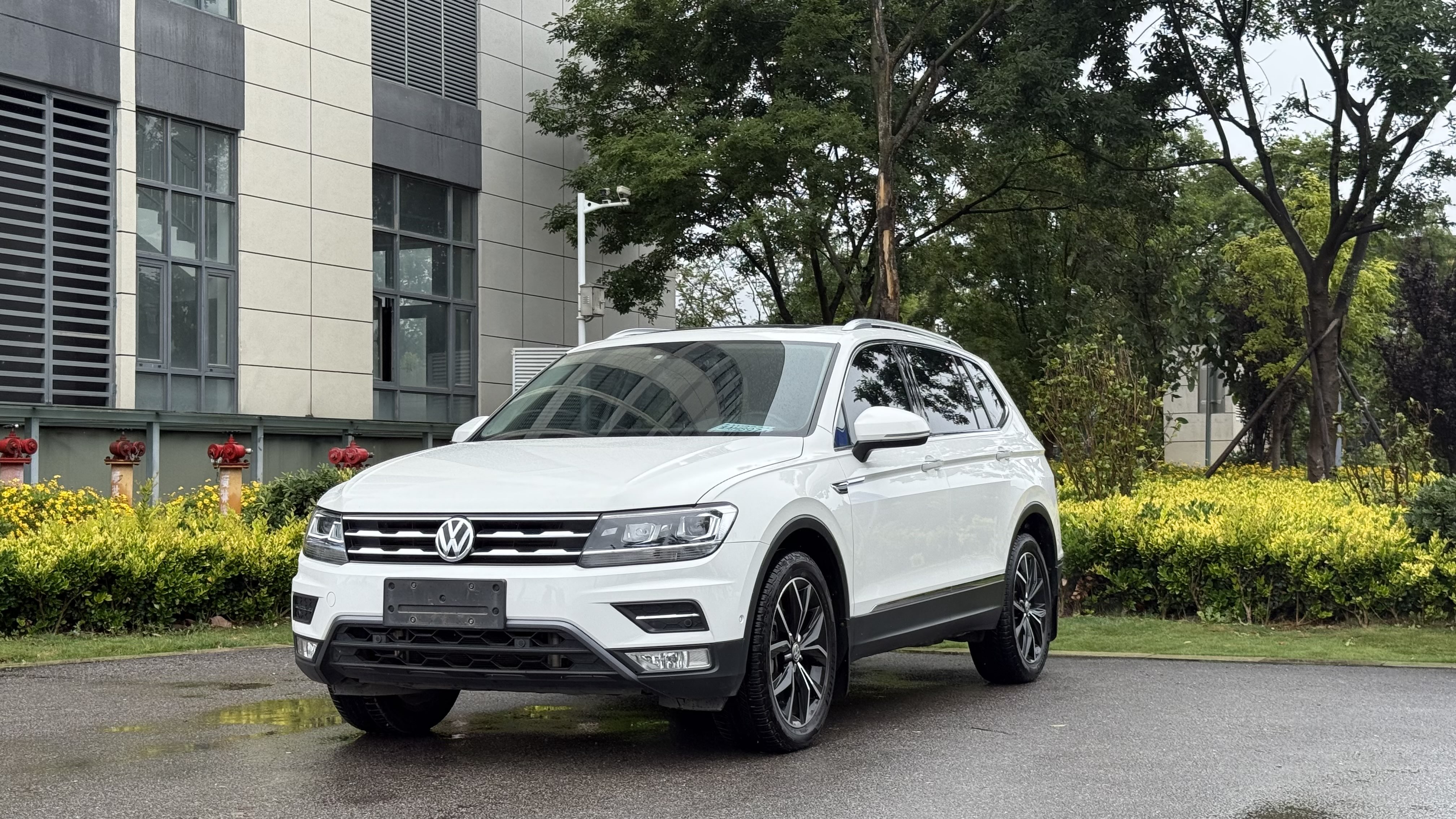 Volkswagen Tiguan L 2019 Volkswagen Tiguan L 2019 car image