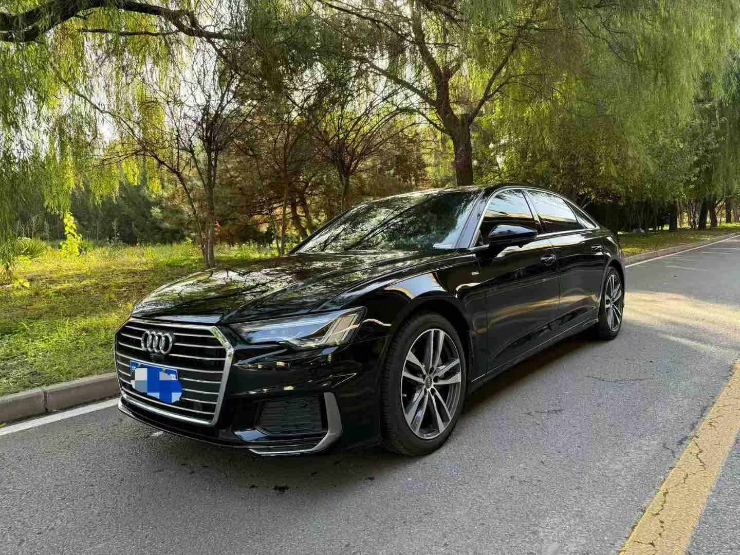 奥迪 奥迪A6L 2019 汽车图片 