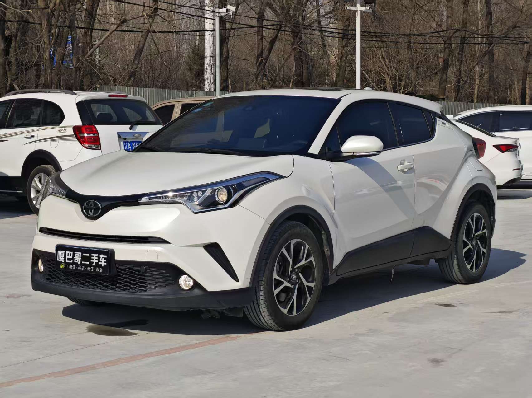 Toyota C-HR 2019 Toyota C-HR 2019 immagine di auto