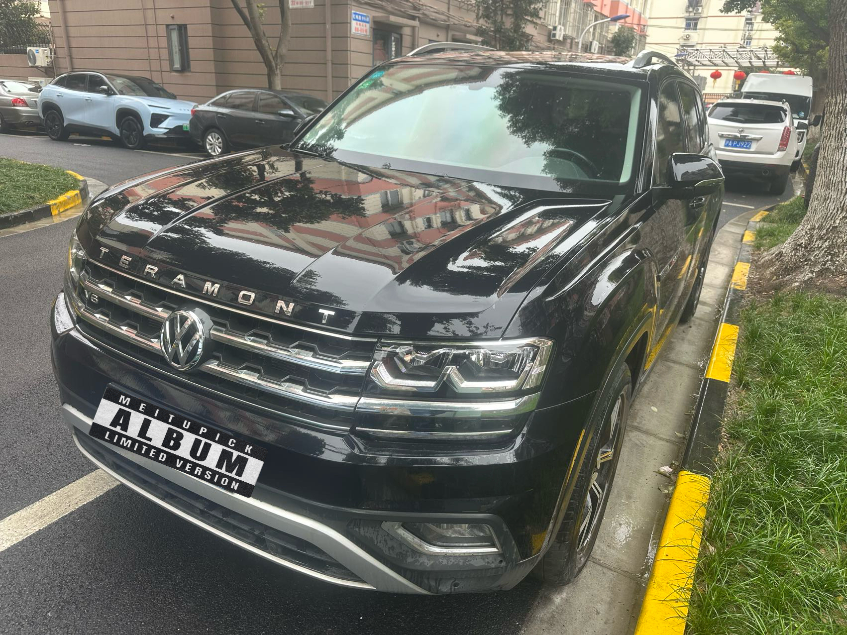 Volkswagen Teramont 2019 汽车图片 