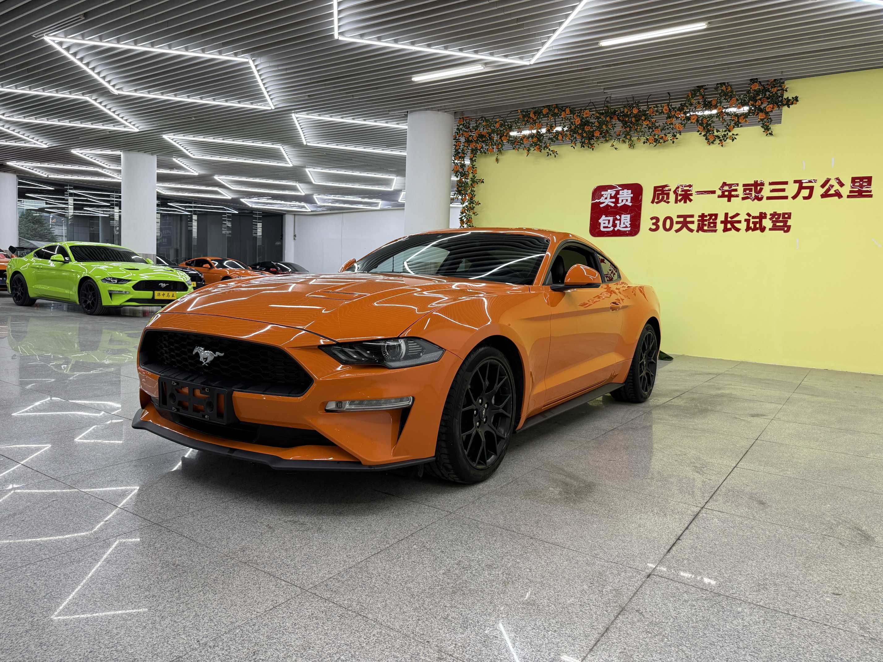 Ford 2020 Ford 2020 car image
