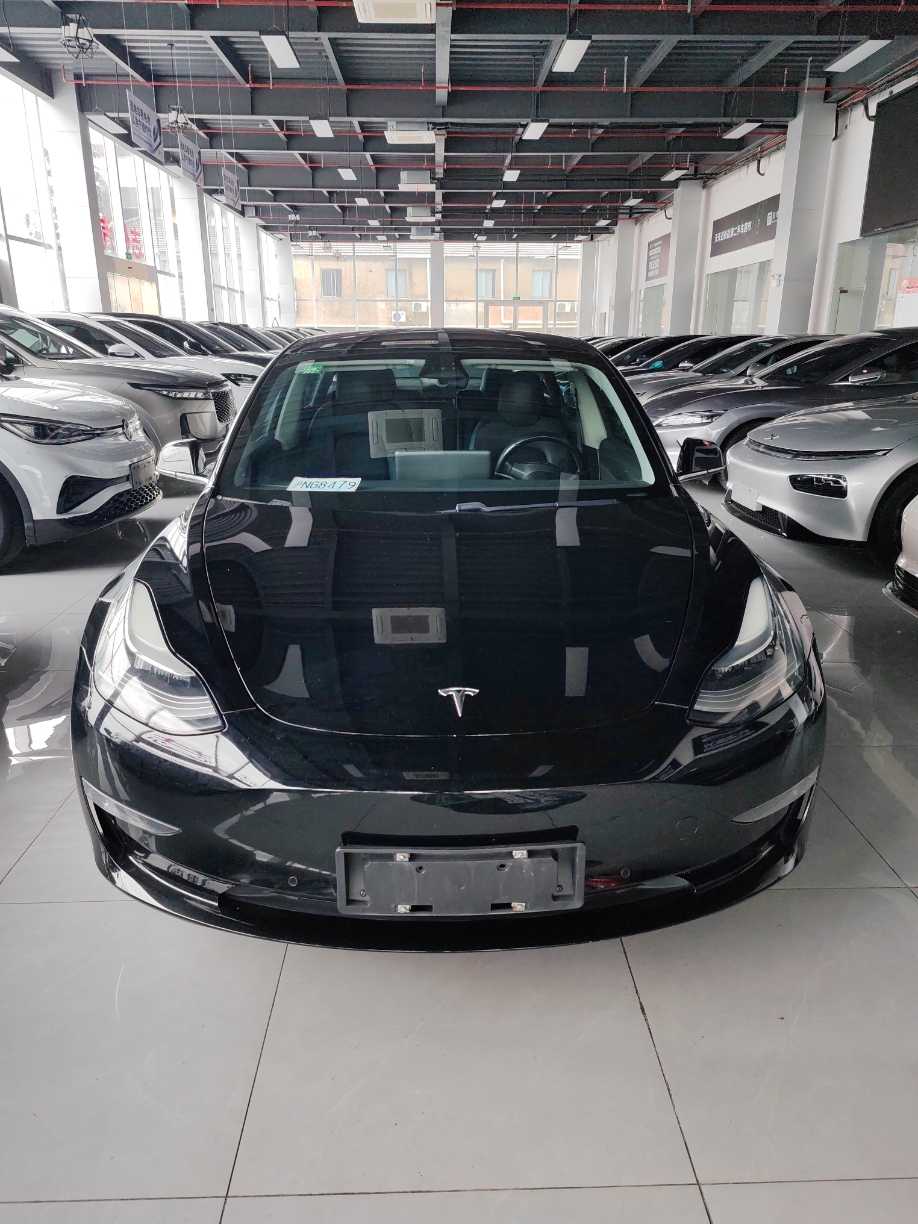 Tesla Model 3 (Imported) 2019 汽车图片 