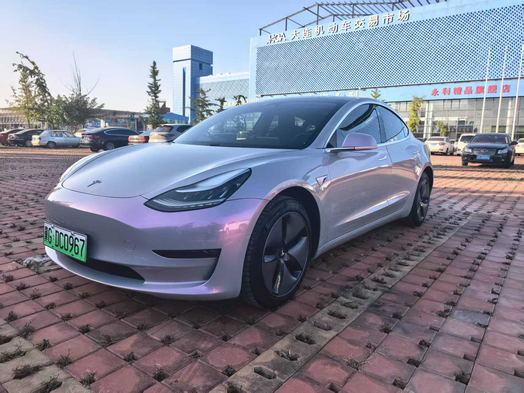 Tesla Model 3 (Imported) 2019 汽车图片 
