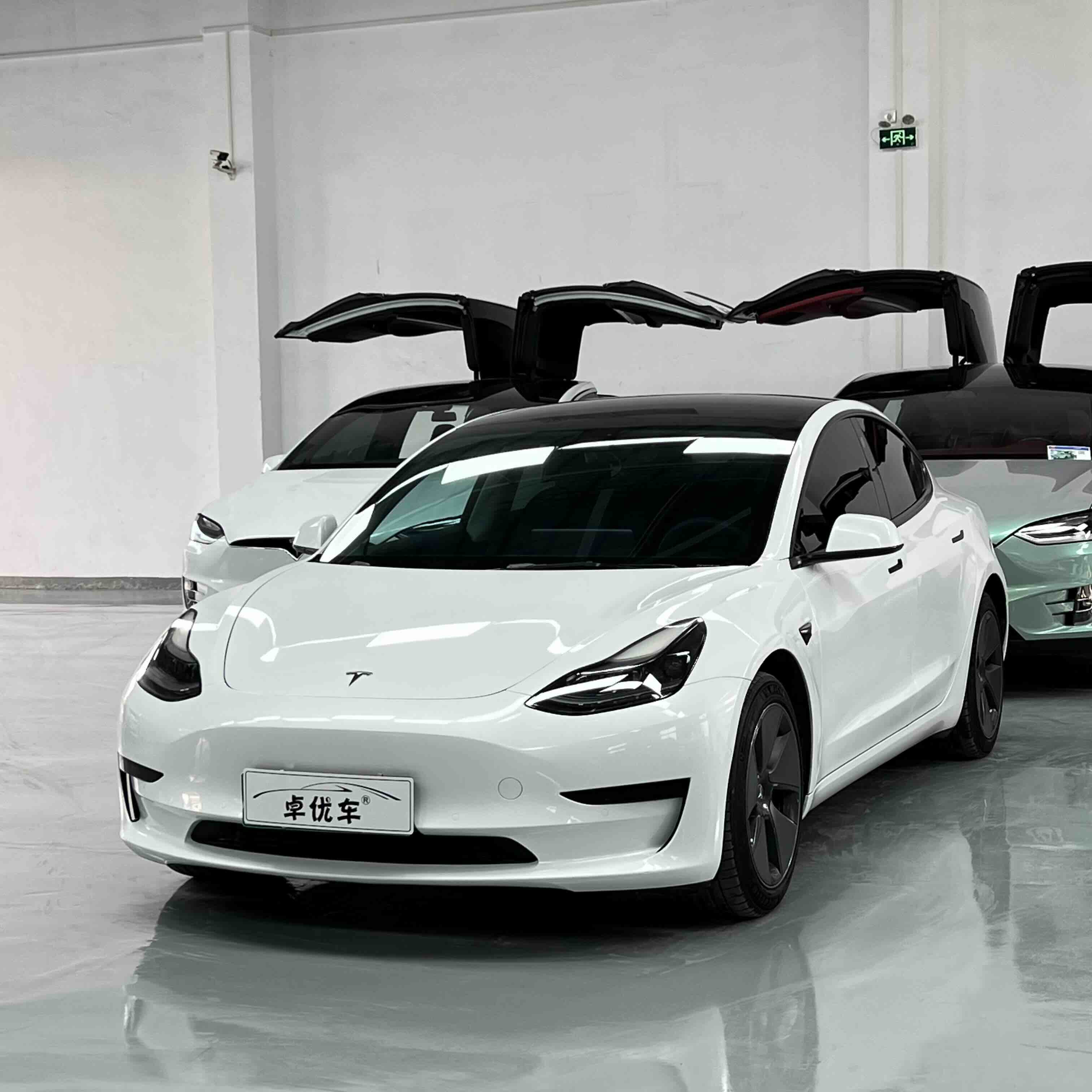 Tesla Model 3 (Imported) 2019 汽车图片 