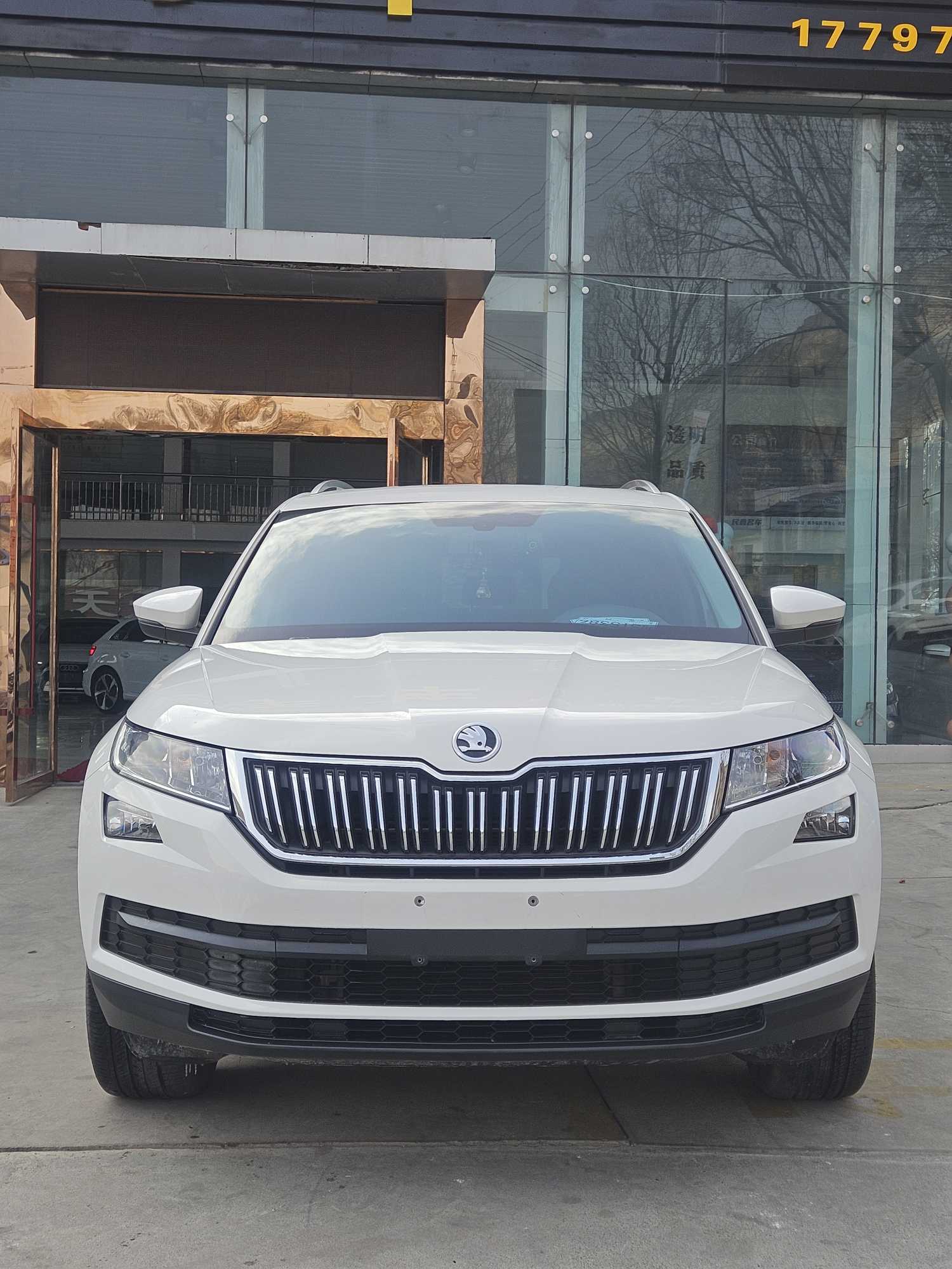 Skoda Kodiaq 2020 изображение автомобиля 