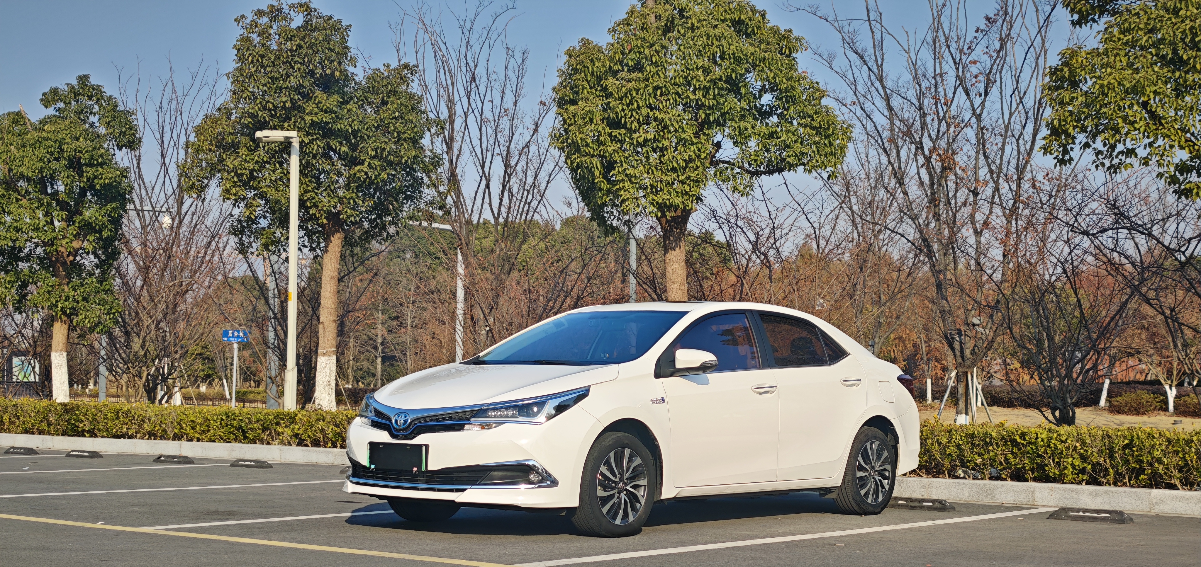 Toyota Corolla Hybird E+ 2020 Toyota Corolla Hybird E+ 2020 immagine di auto