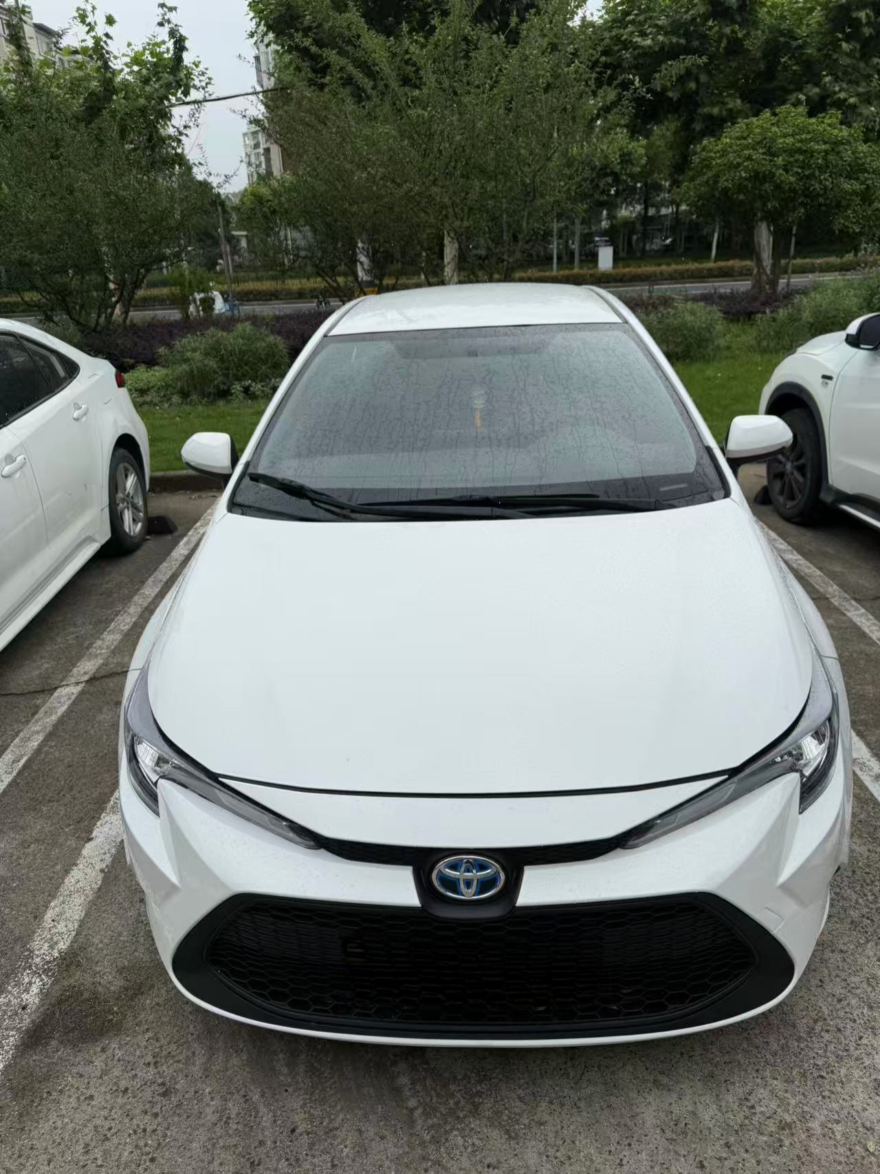 Toyota Levin Hybird E+ 2022 汽车图片 