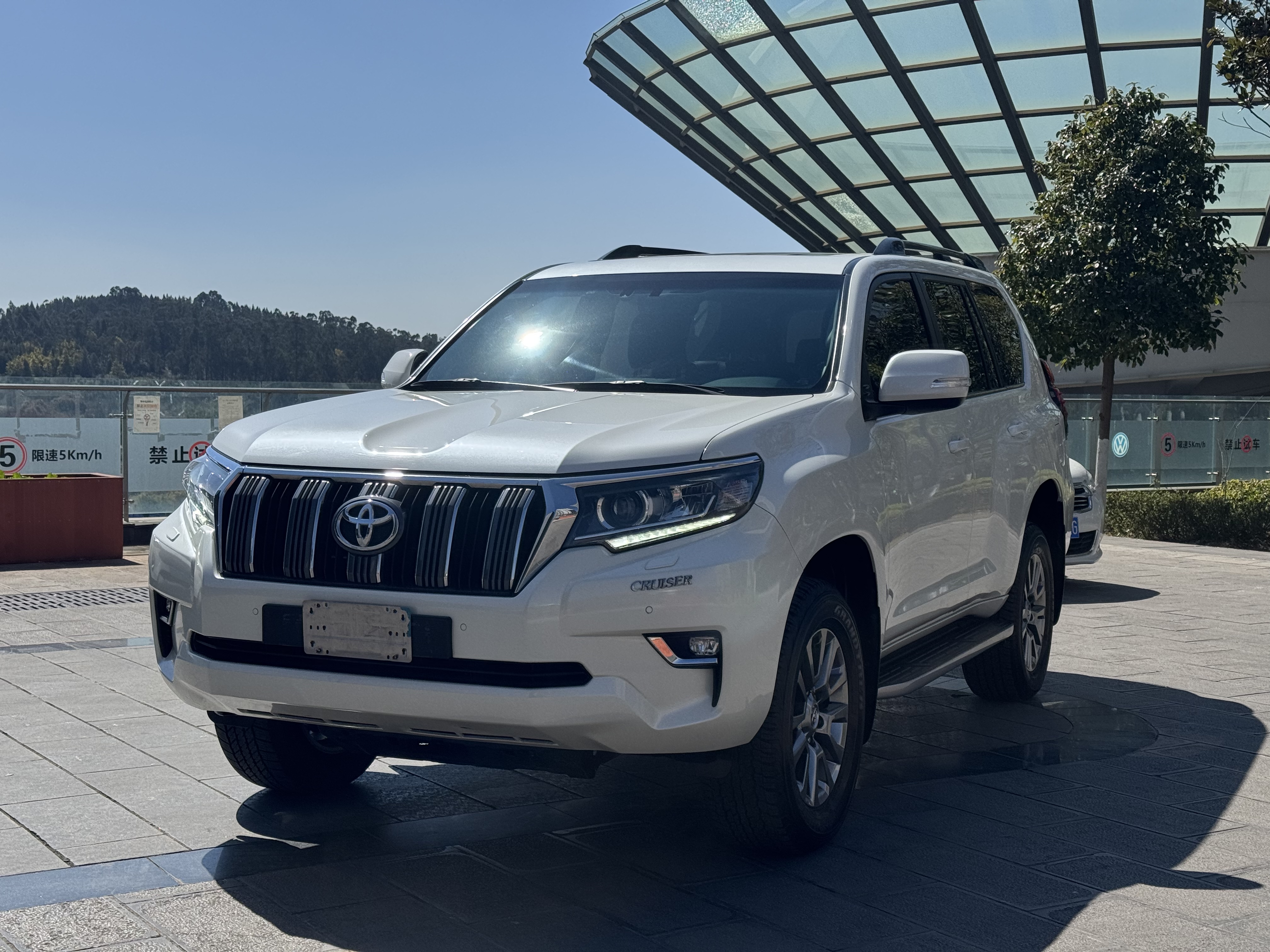 Toyota 2019 Toyota 2019 car image