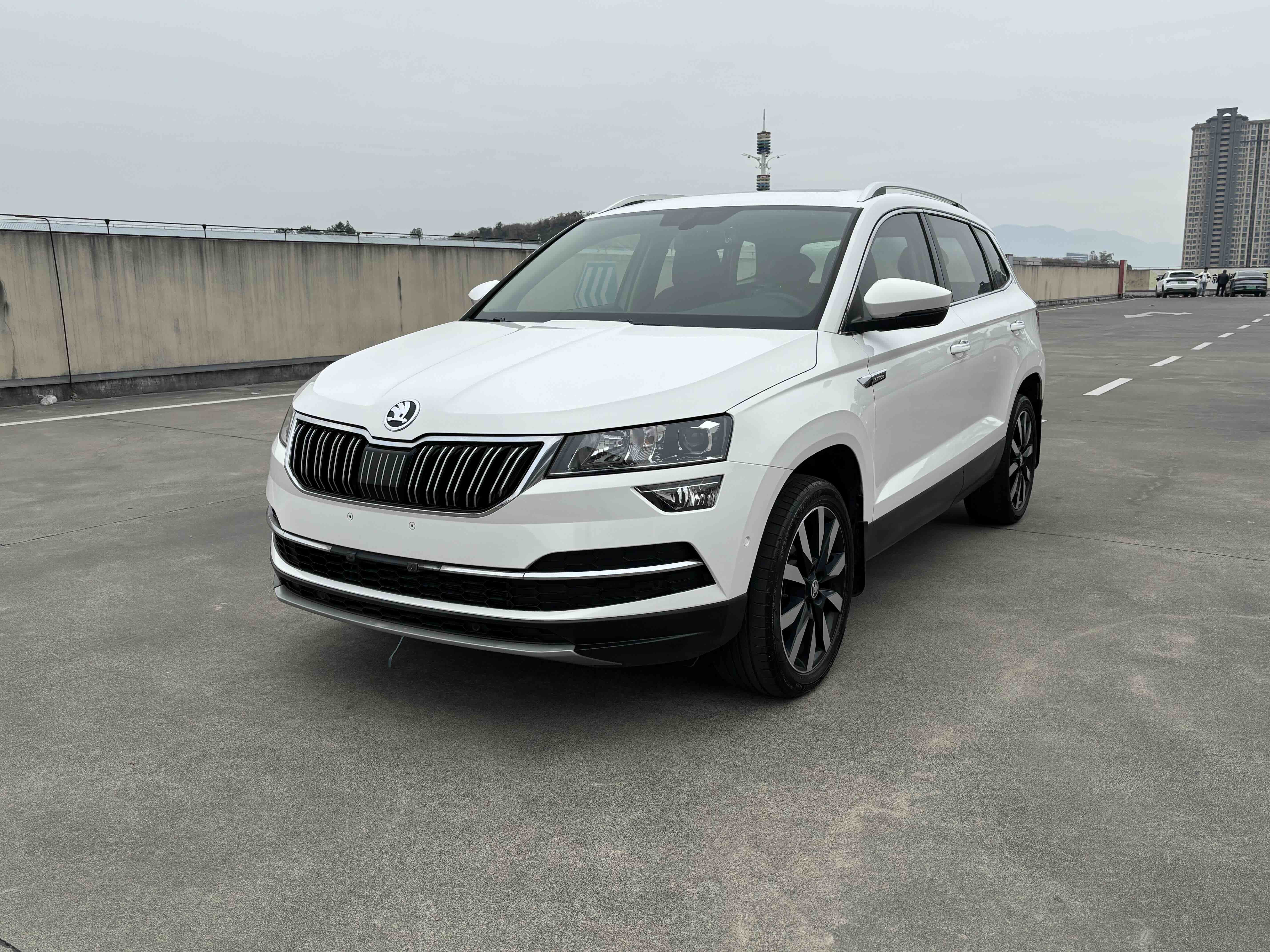 Skoda Karoq 2020 Skoda Karoq 2020 car image