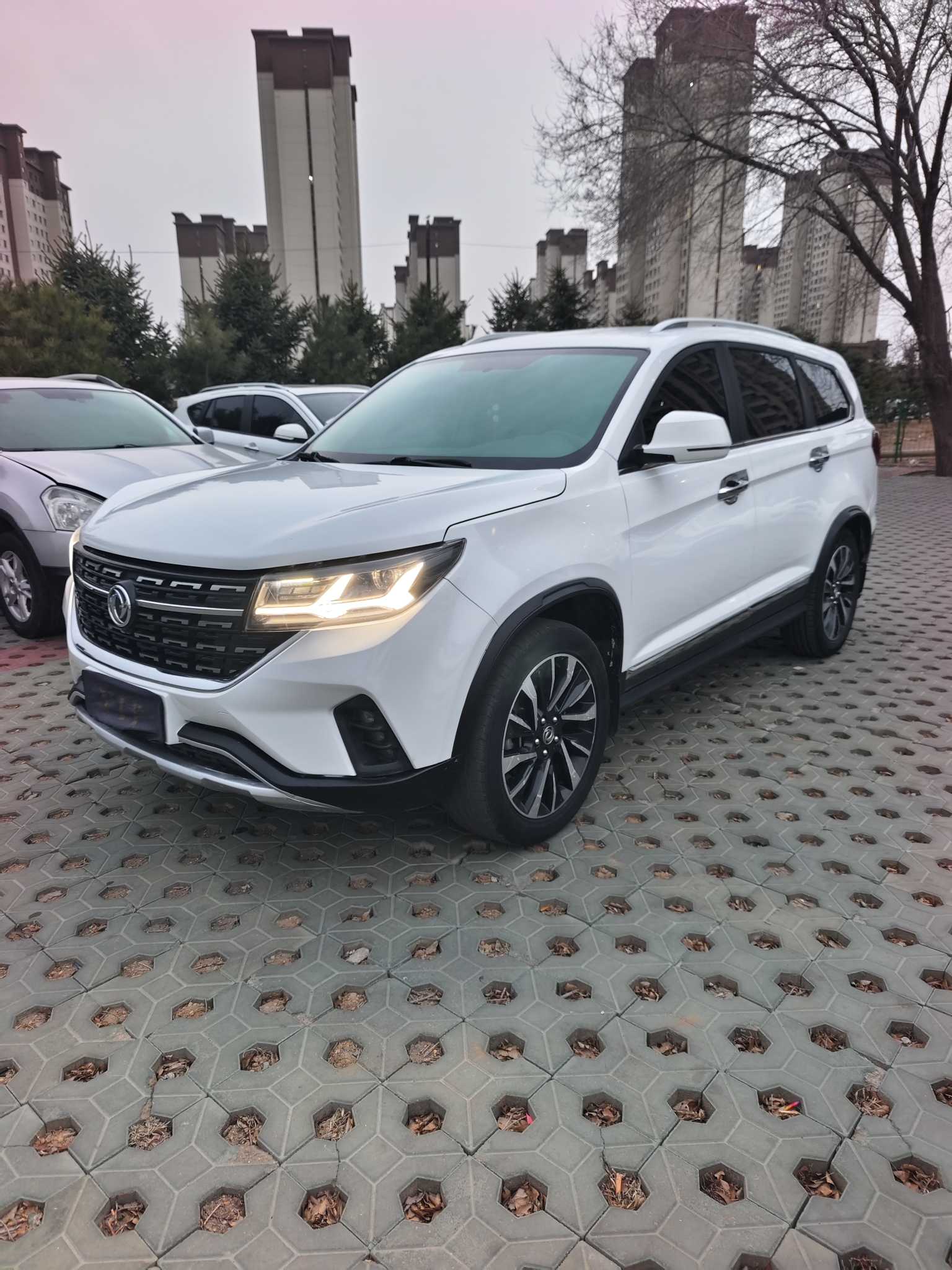 T5 L 2019 T5 L 2019 immagine di auto