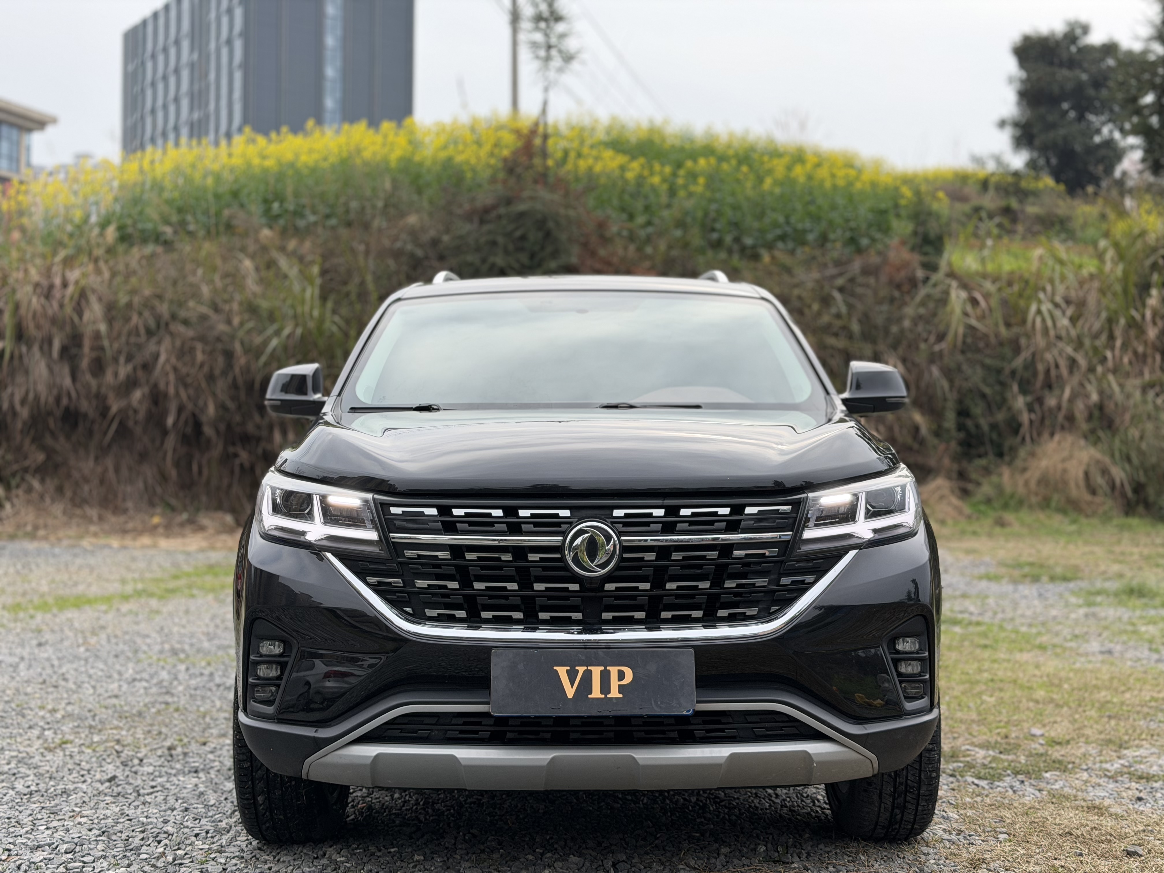T5 L 2019 car image 