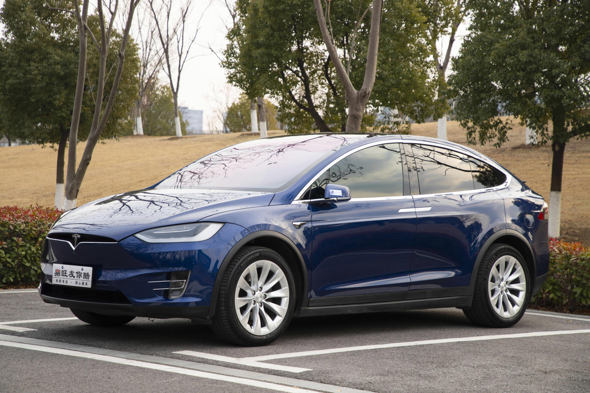 Tesla Model X 2019 汽车图片 