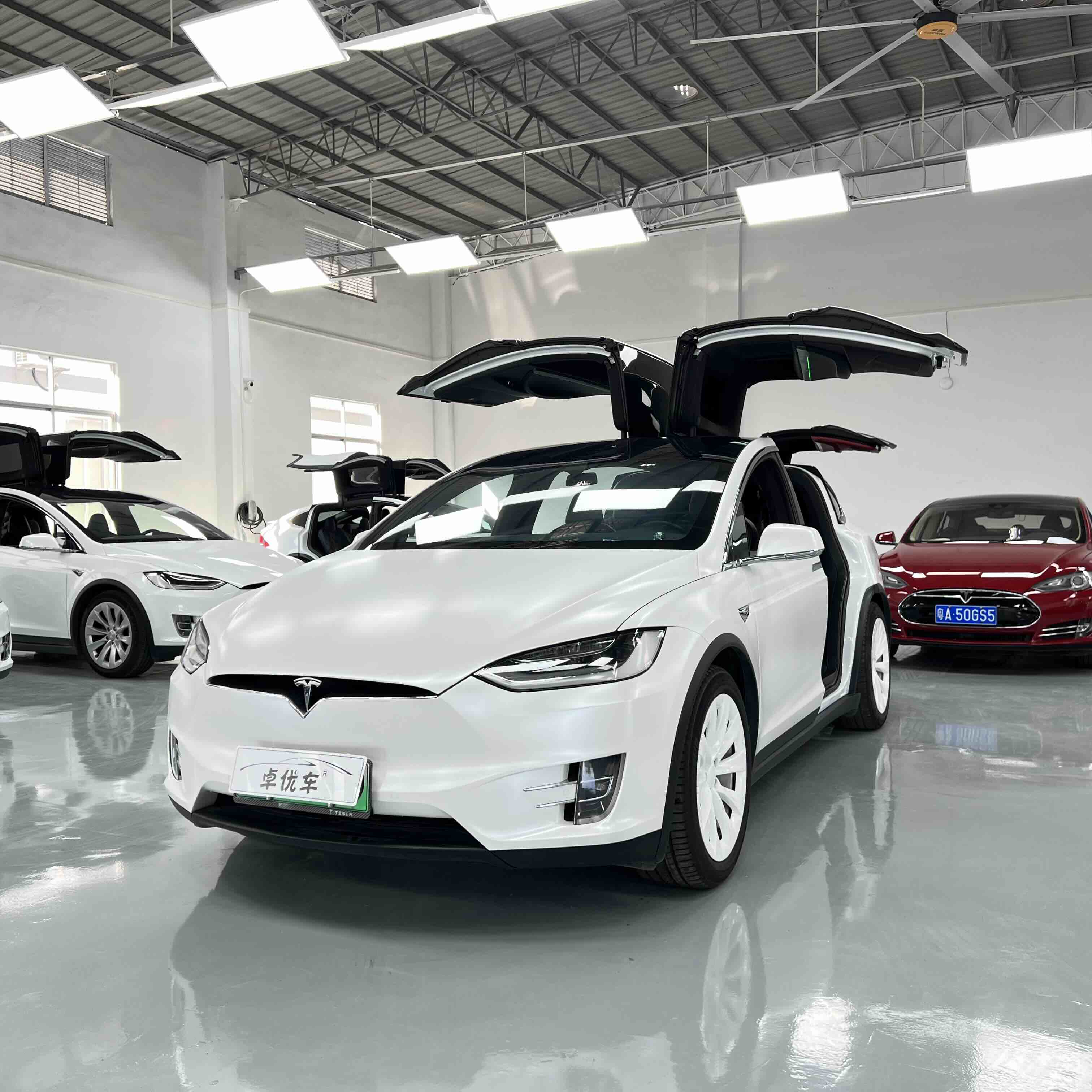 Tesla Model X 2019 汽车图片 