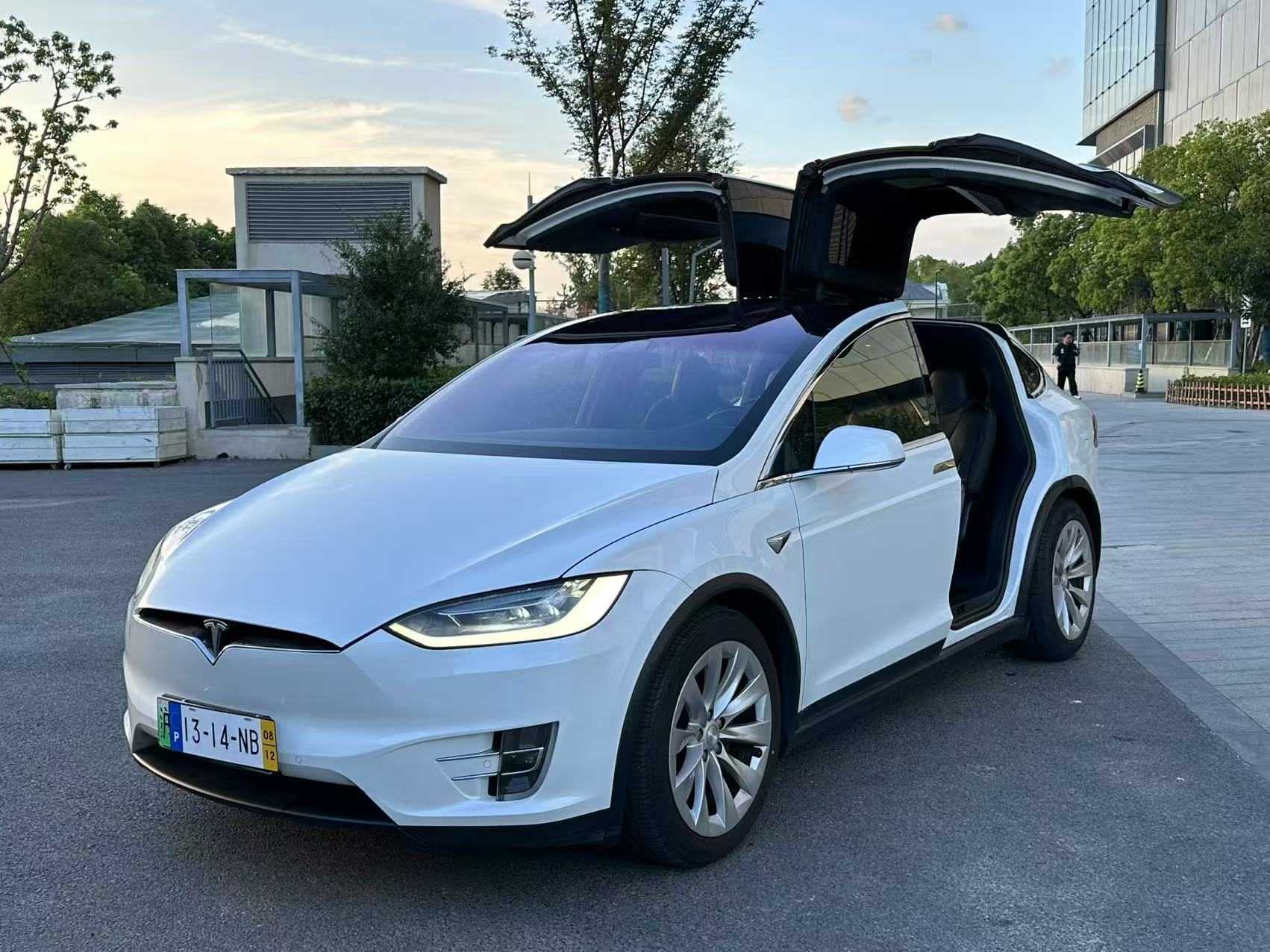 Tesla Model X 2019 Tesla Model X 2019 car image