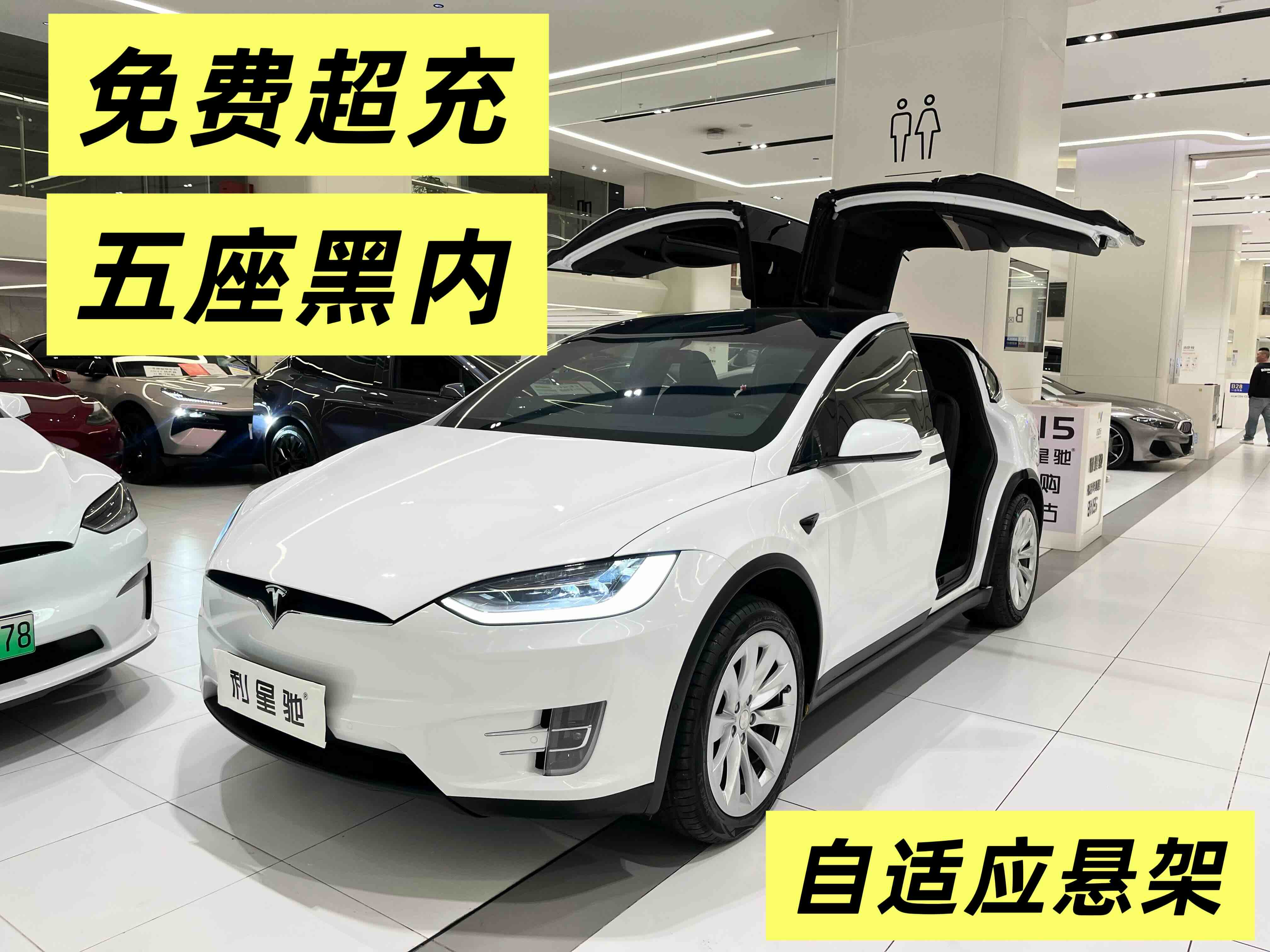 Tesla Model X 2020 汽车图片 