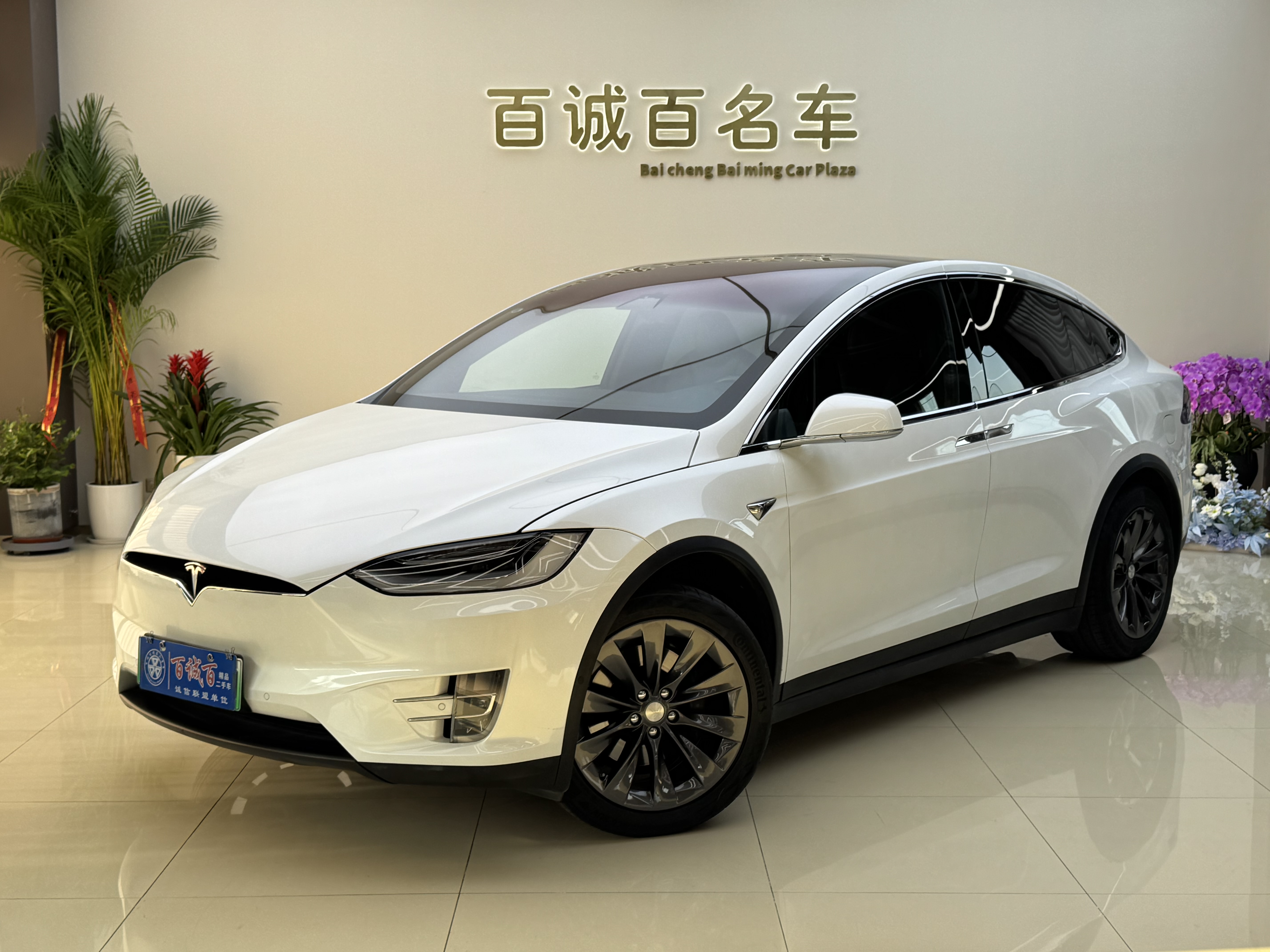 Tesla Model X 2020 Tesla Model X 2020 car image