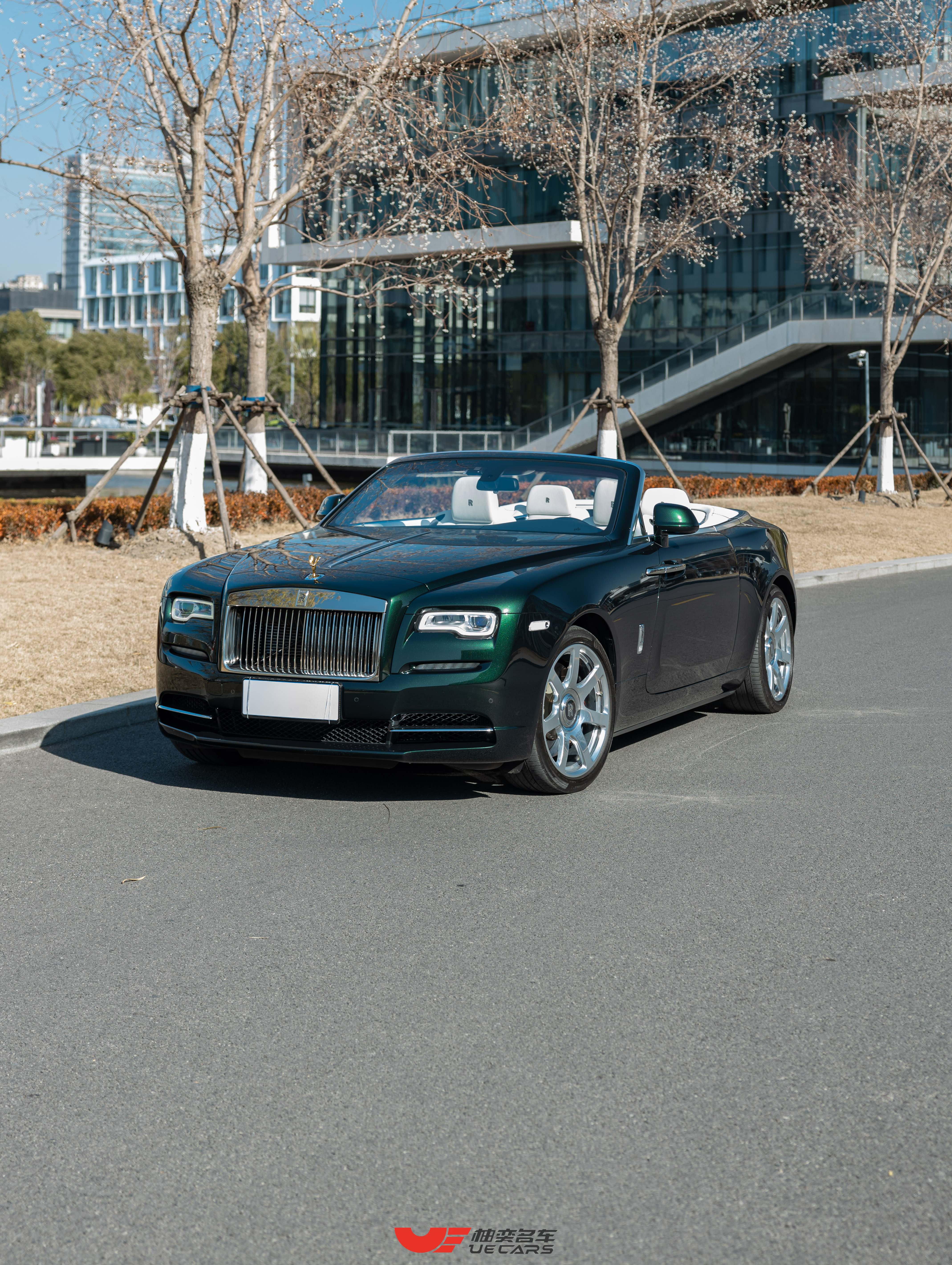 Rolls-Royce Dawn 2019 汽车图片 