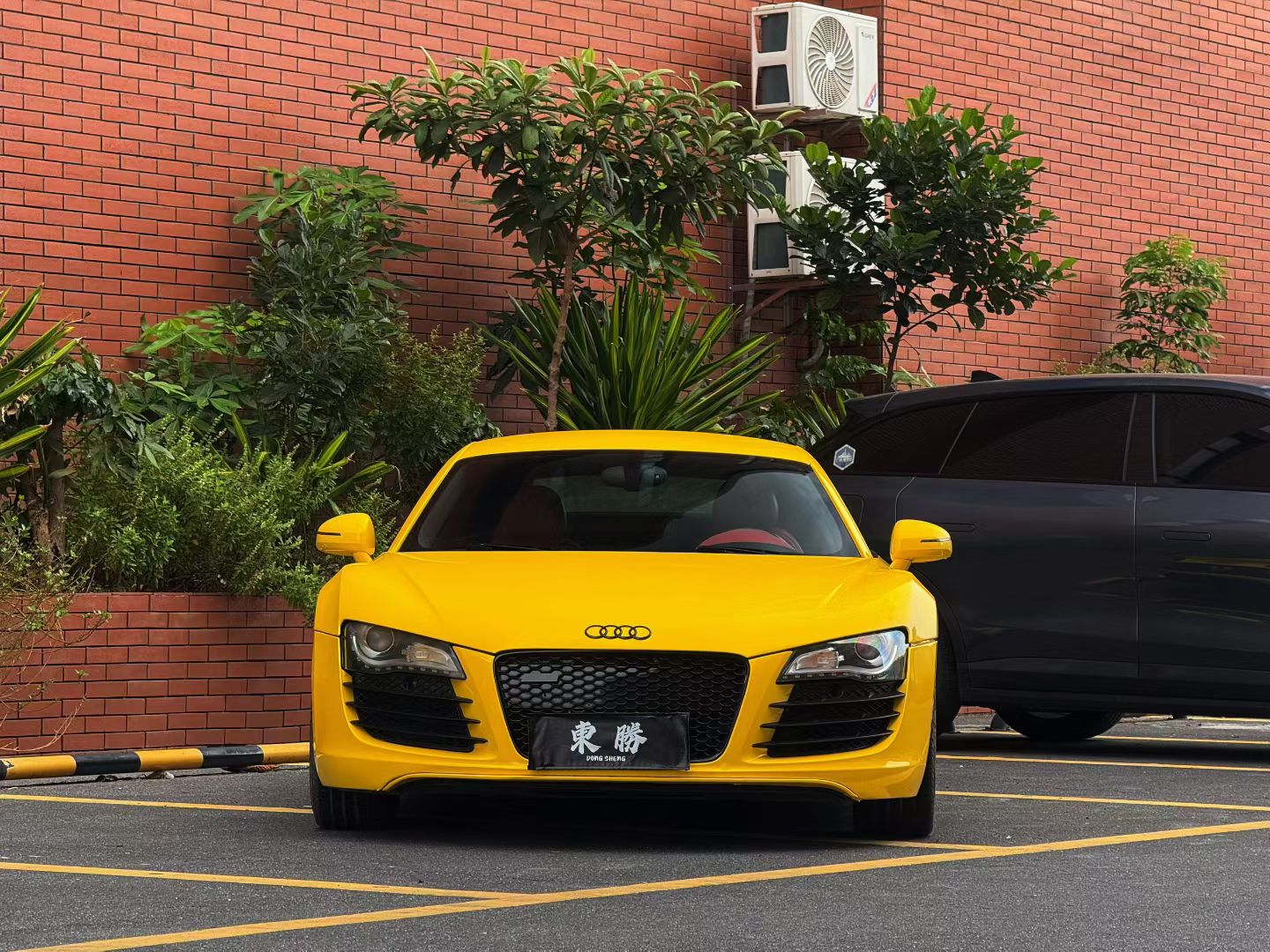 Audi R8 2008 car image 