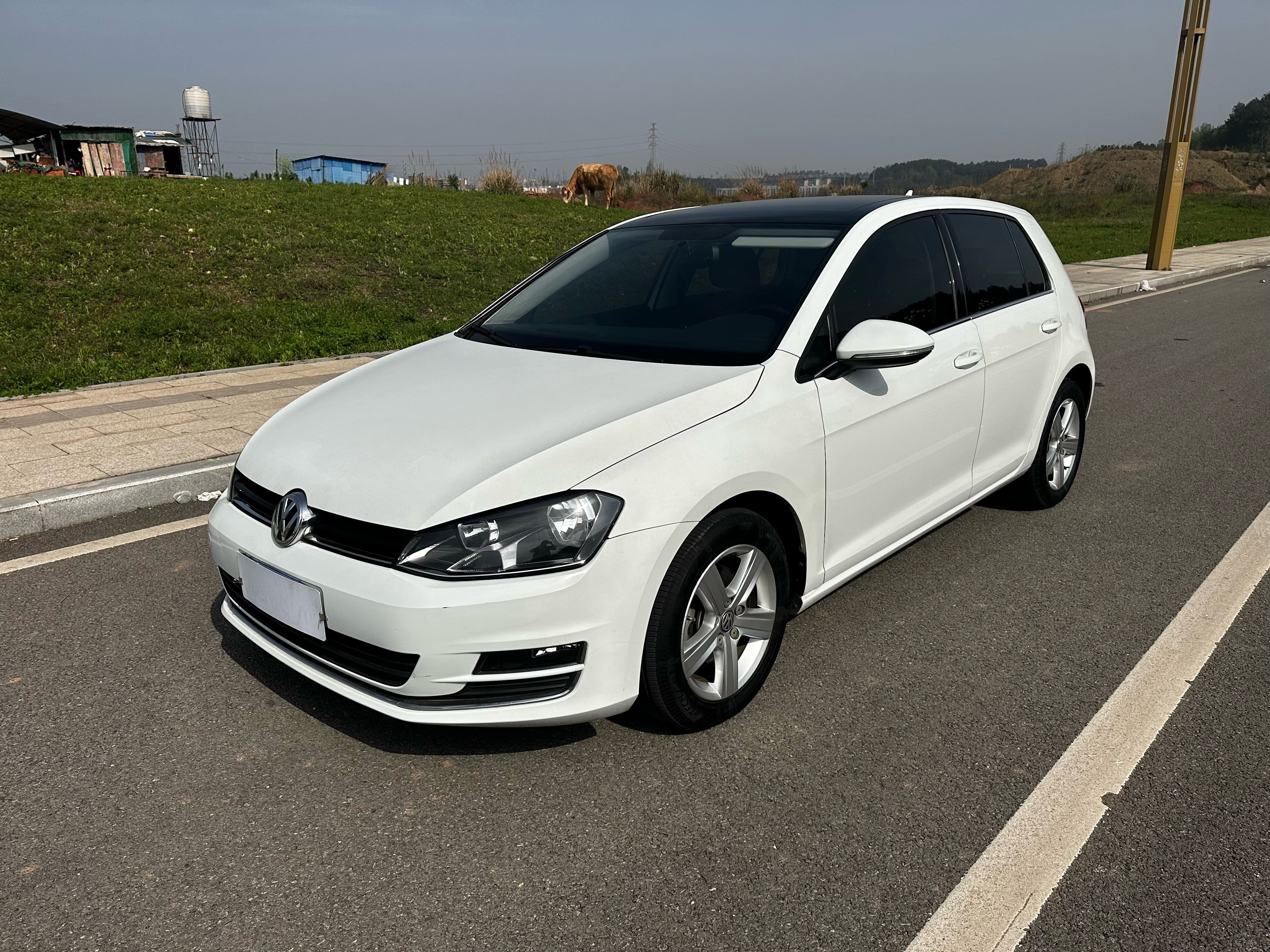 Volkswagen Golf 2015 汽车图片 