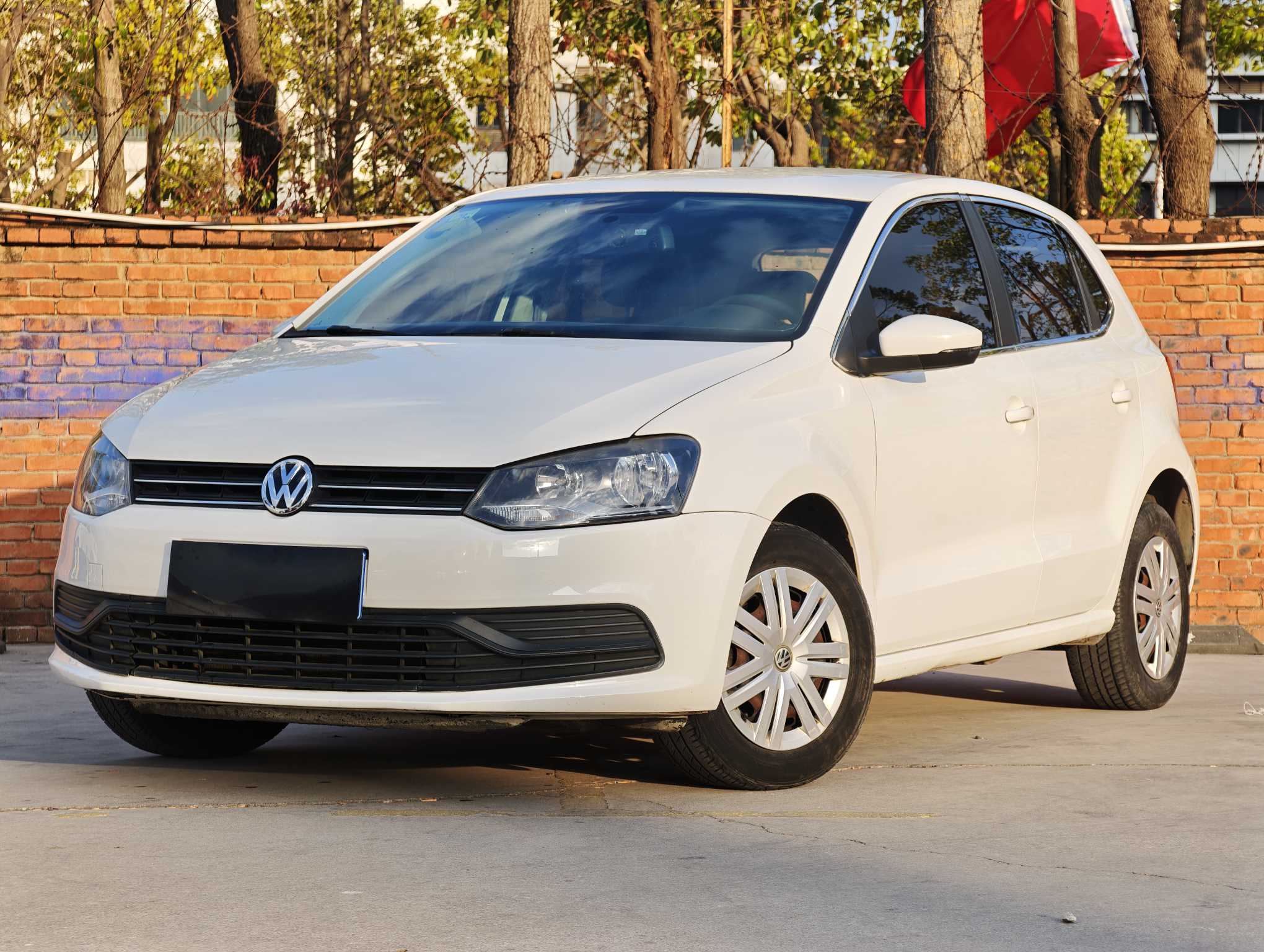 Volkswagen Polo 2014 immagine di auto 
