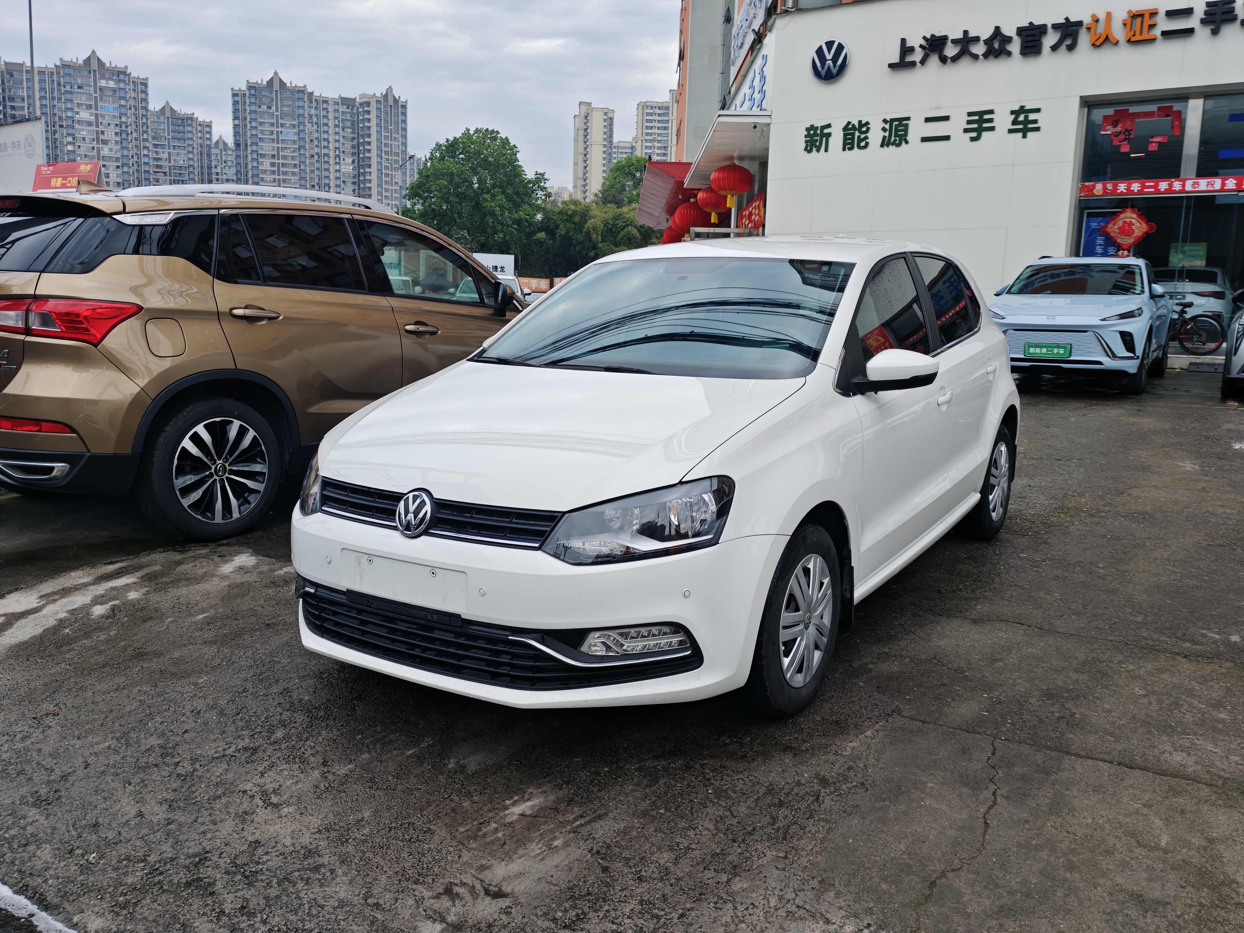 Polo 2016 car image 