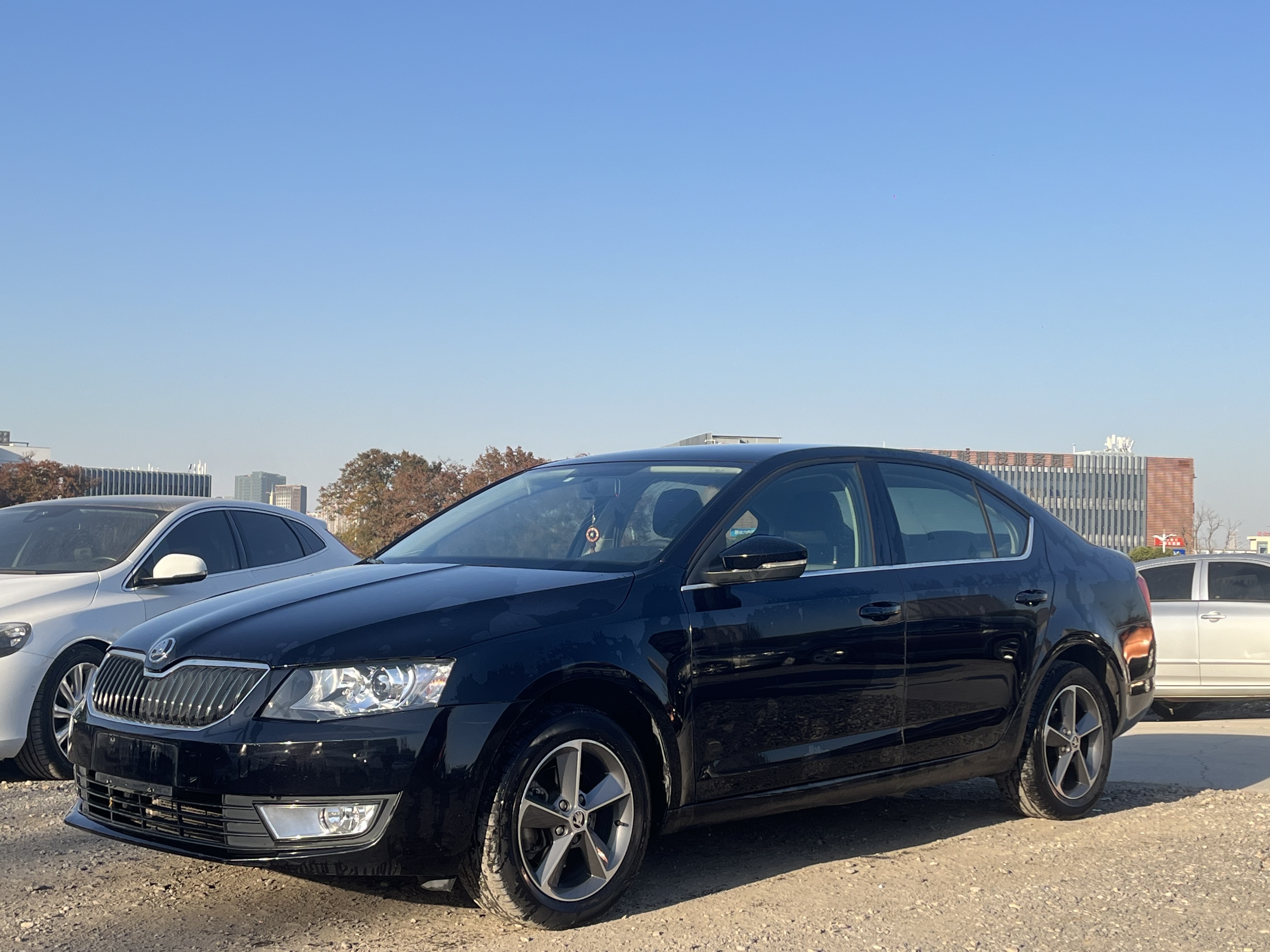 Skoda Octavia 2016 Skoda Octavia 2016 car image