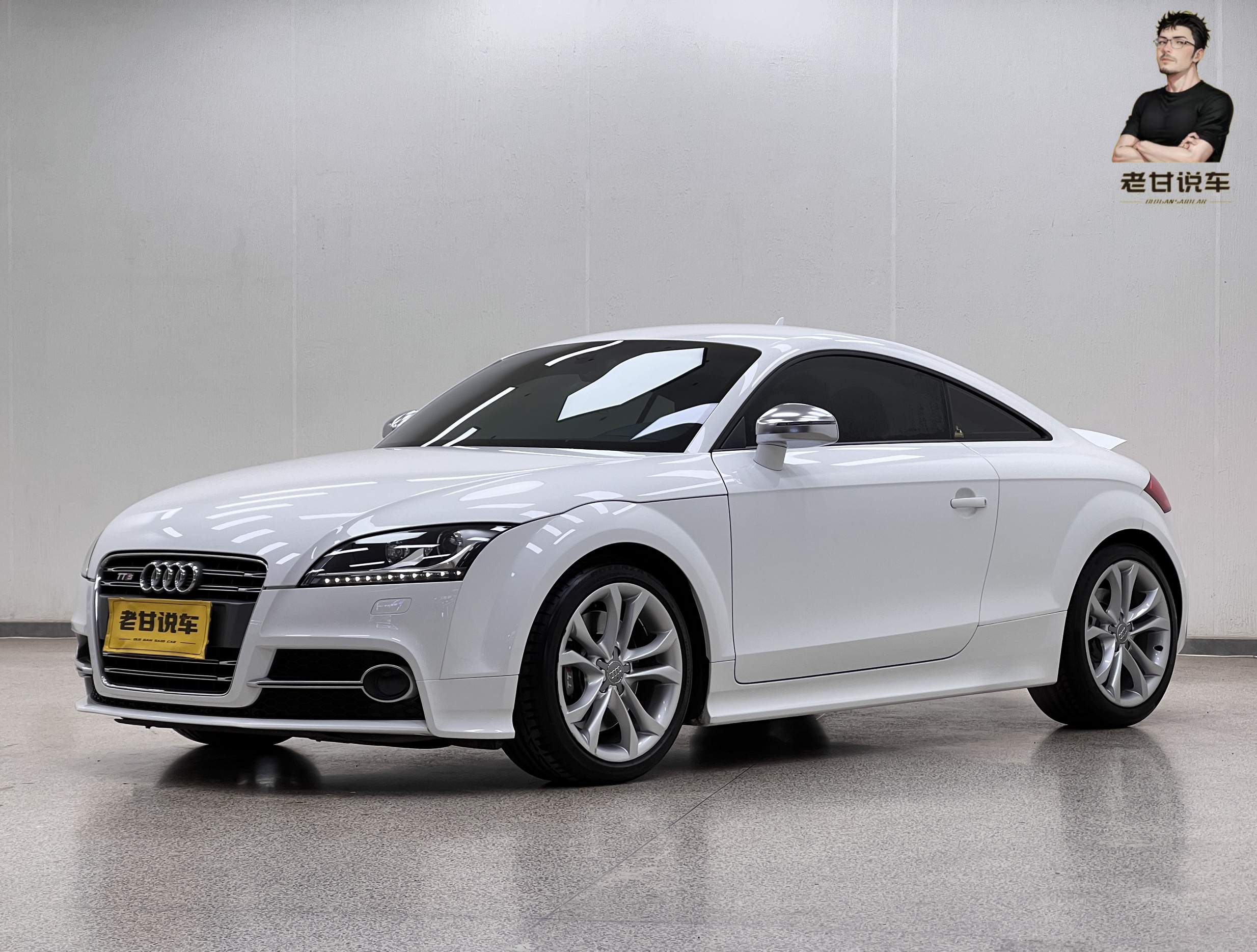 Audi TTS 2015 car image 
