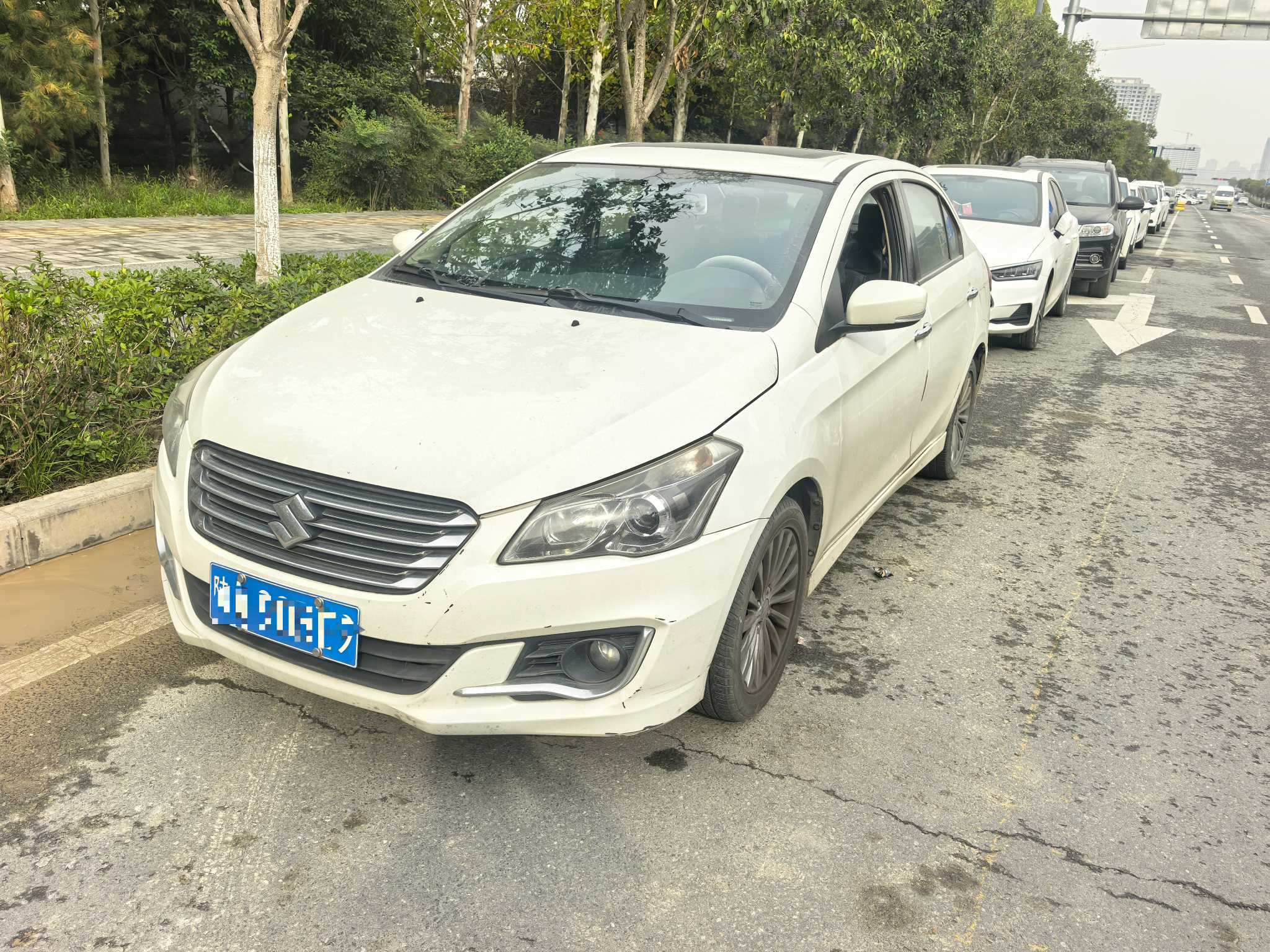Suzuki Ciaz 2016 汽车图片 
