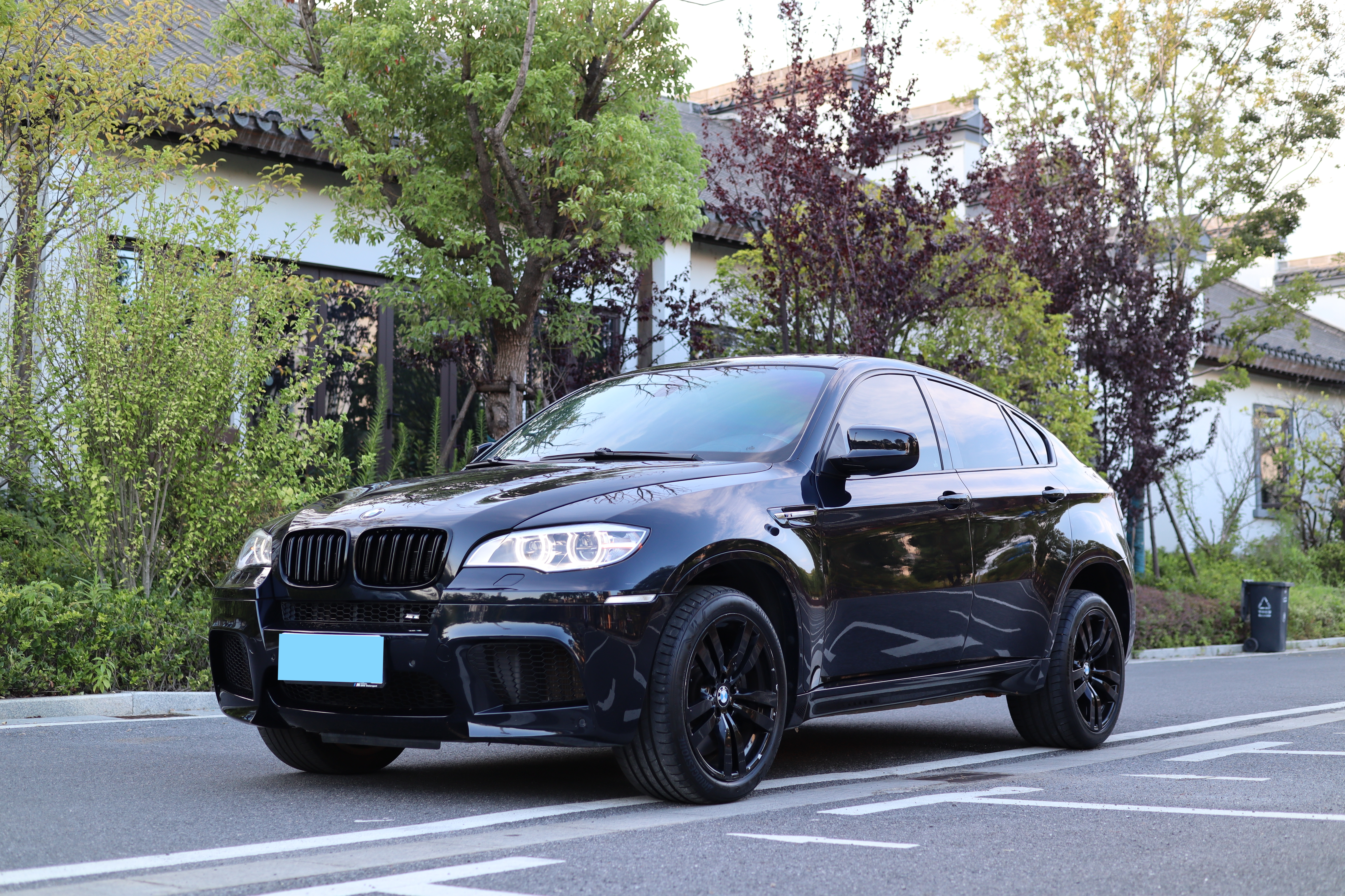 BMW X6 2012 car image 