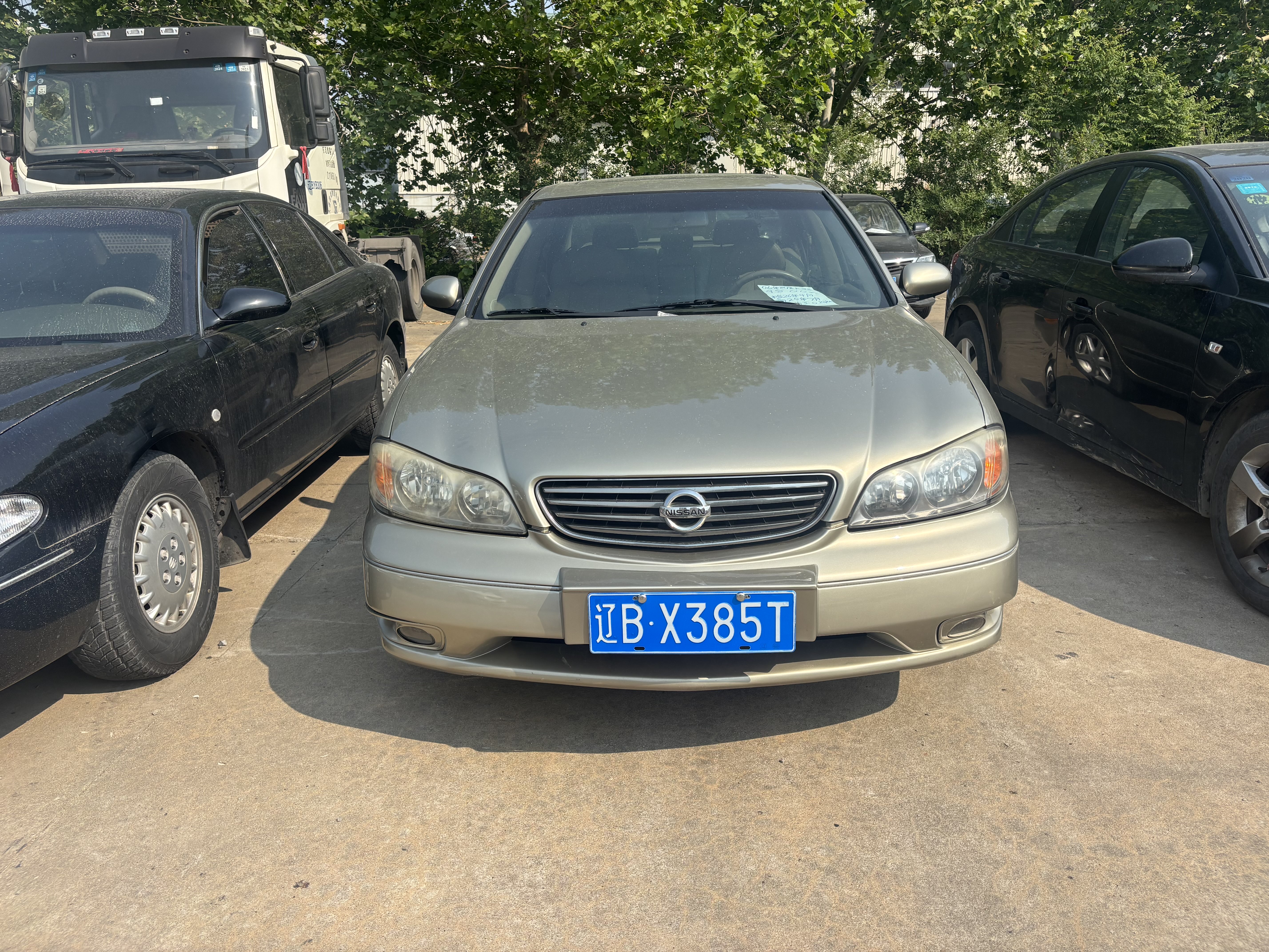 Nissan Cefiro 2006 汽车图片 