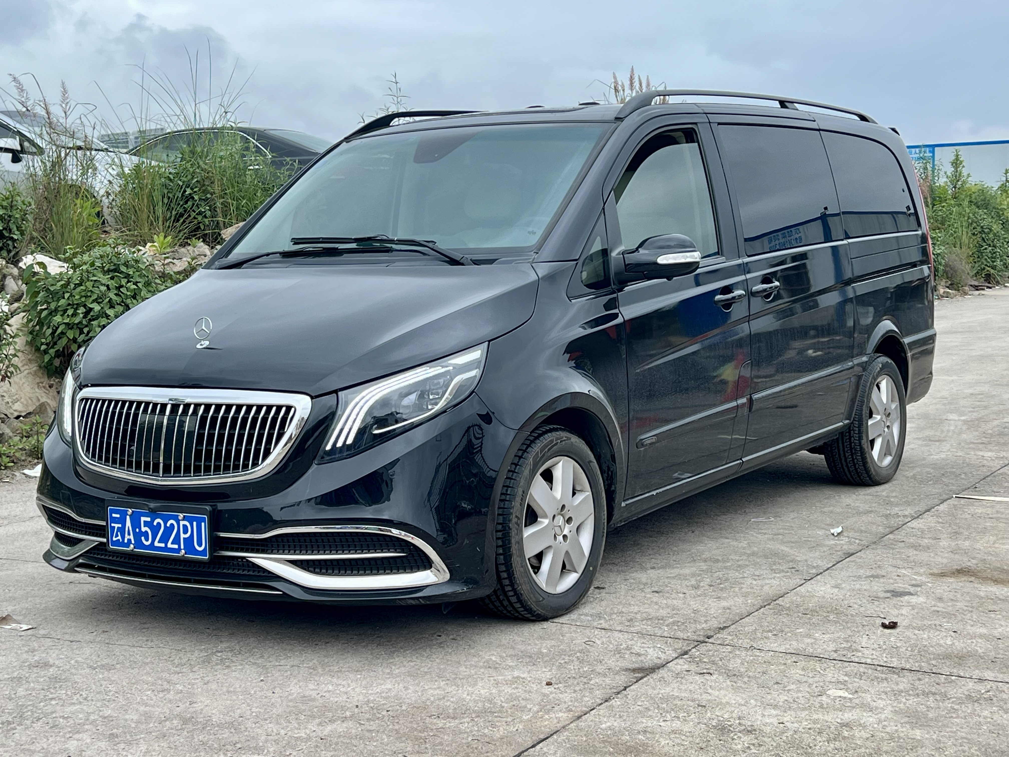 Mercedes-Benz Viano (Imported) 2007 car image 