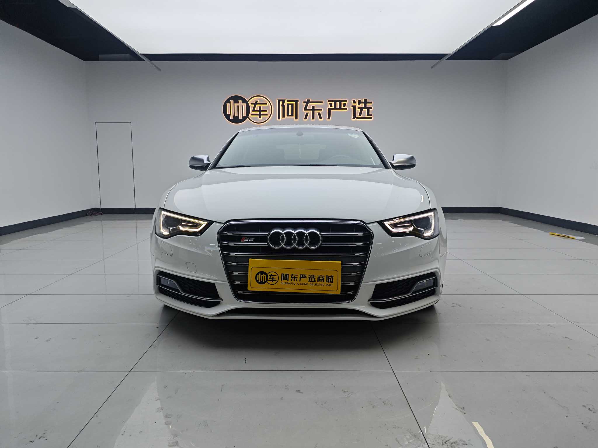 Audi S5 2013 car image 