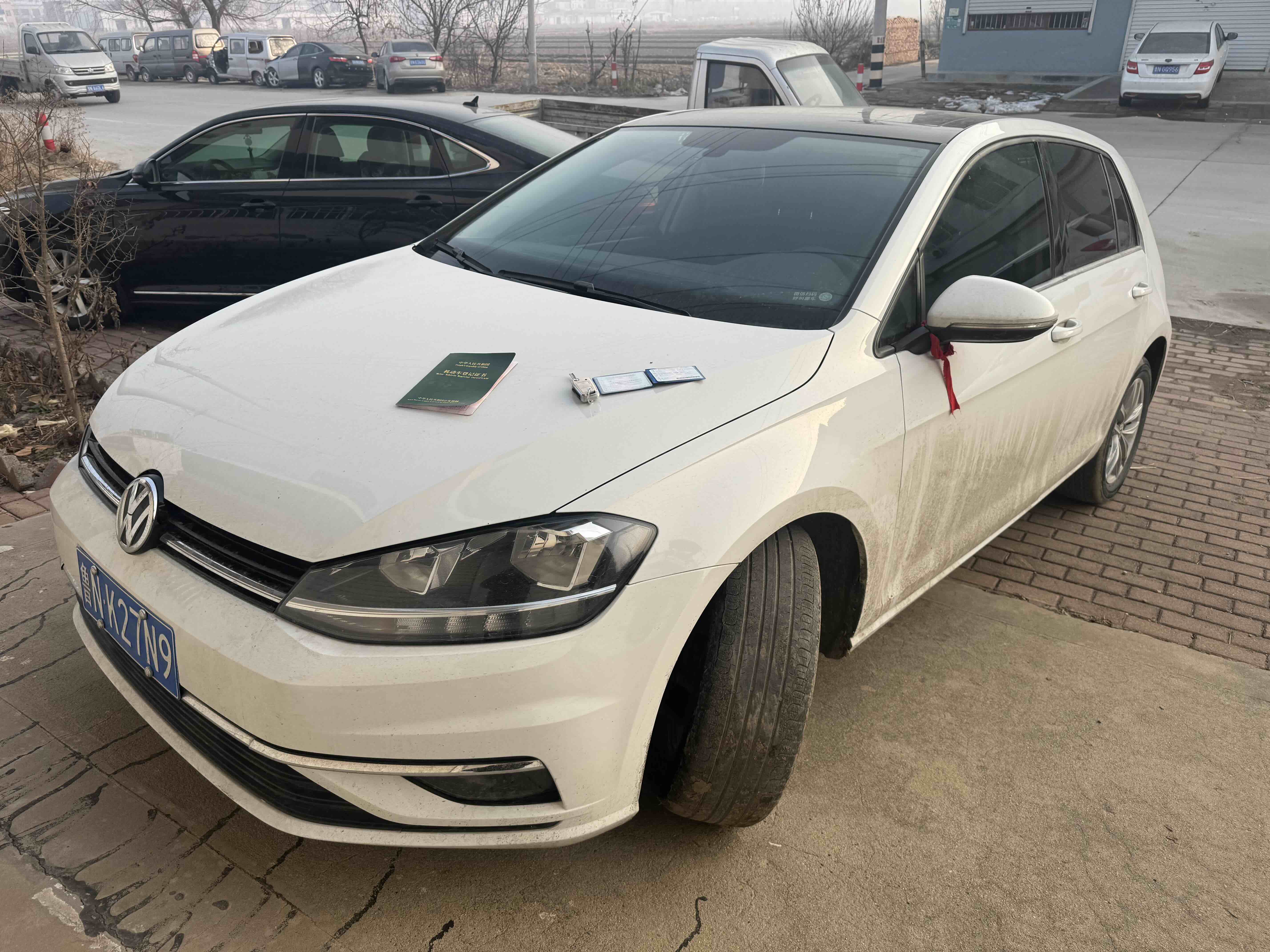 Volkswagen Golf 2019 car image 