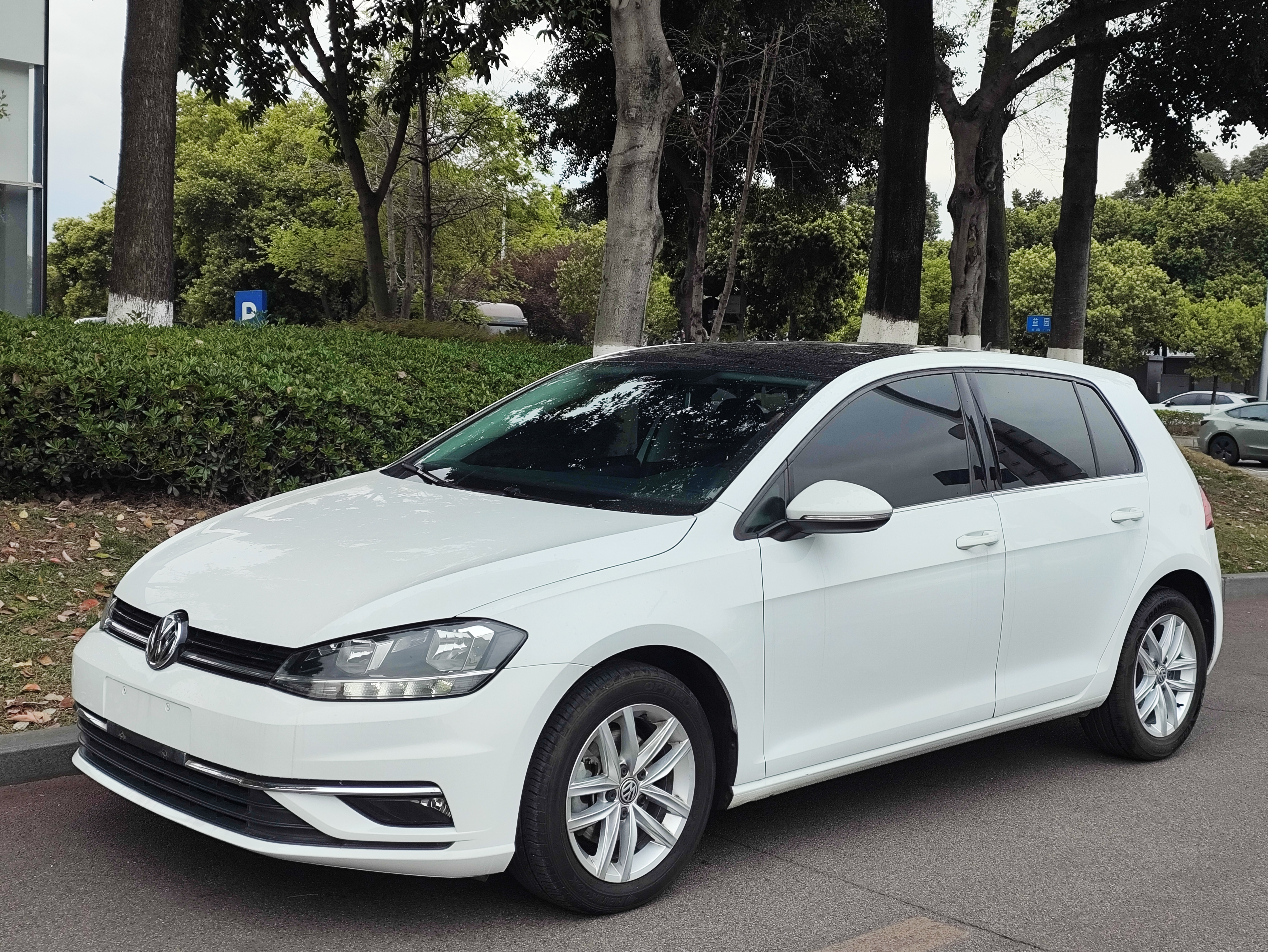 Volkswagen Golf 2019 car image 