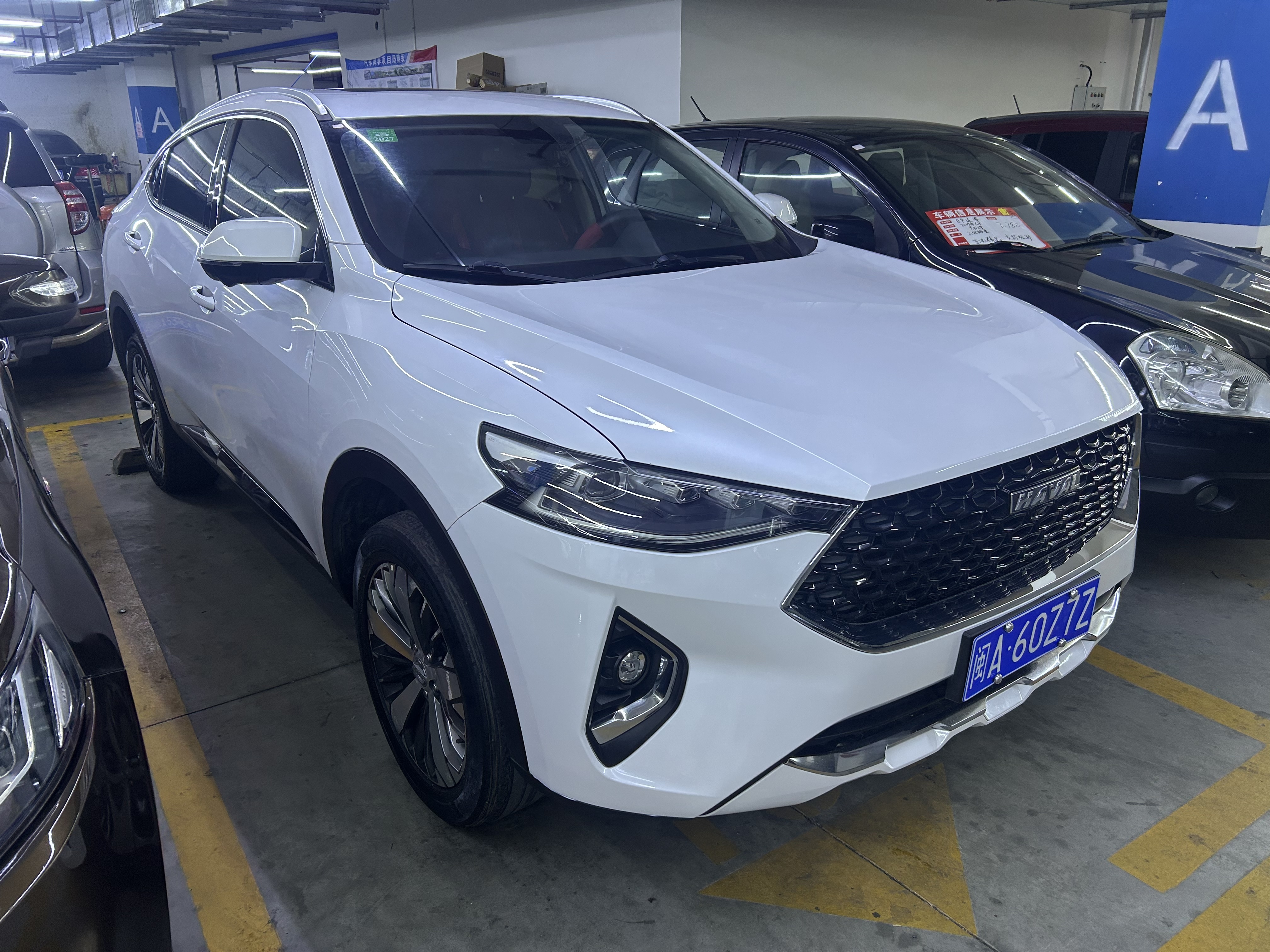 Haval 2019 Haval 2019 car image