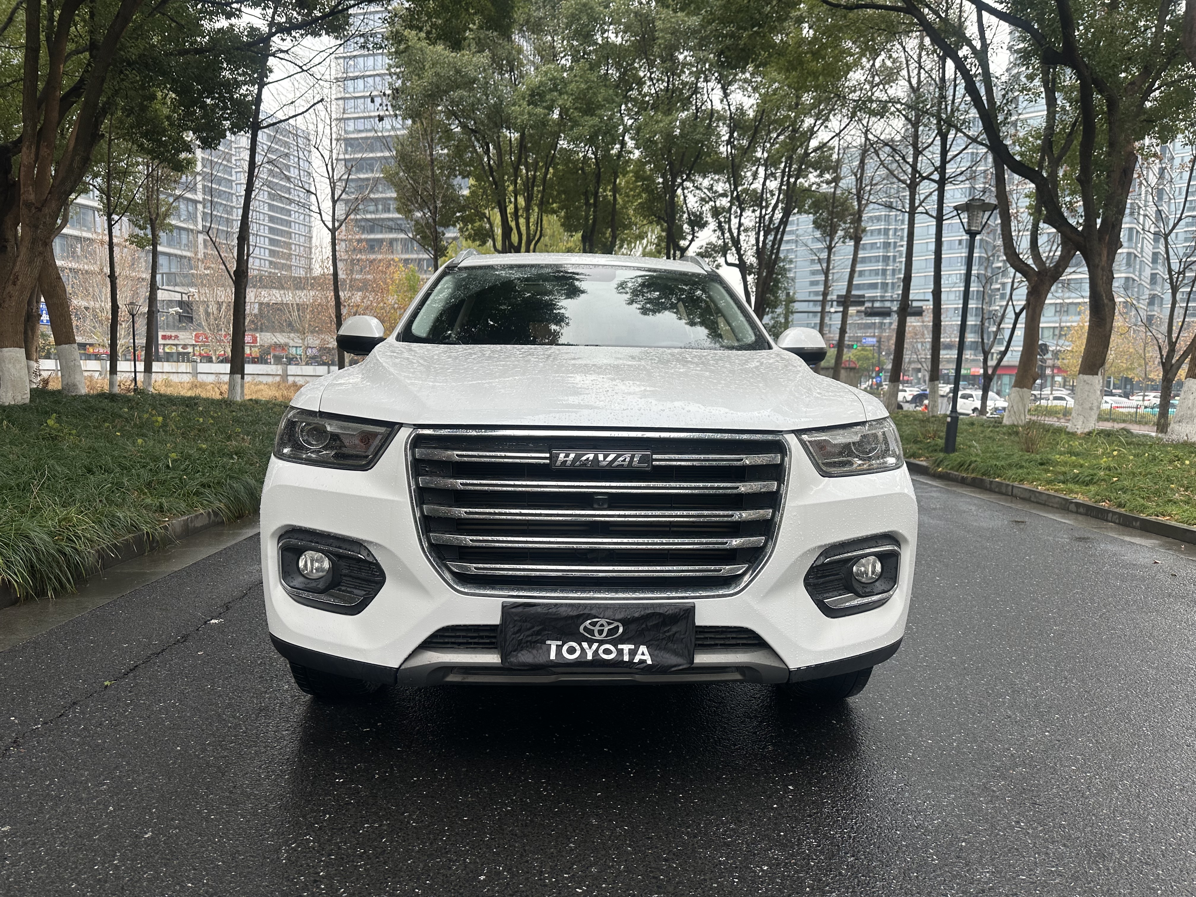 Haval 2019 Haval 2019 car image
