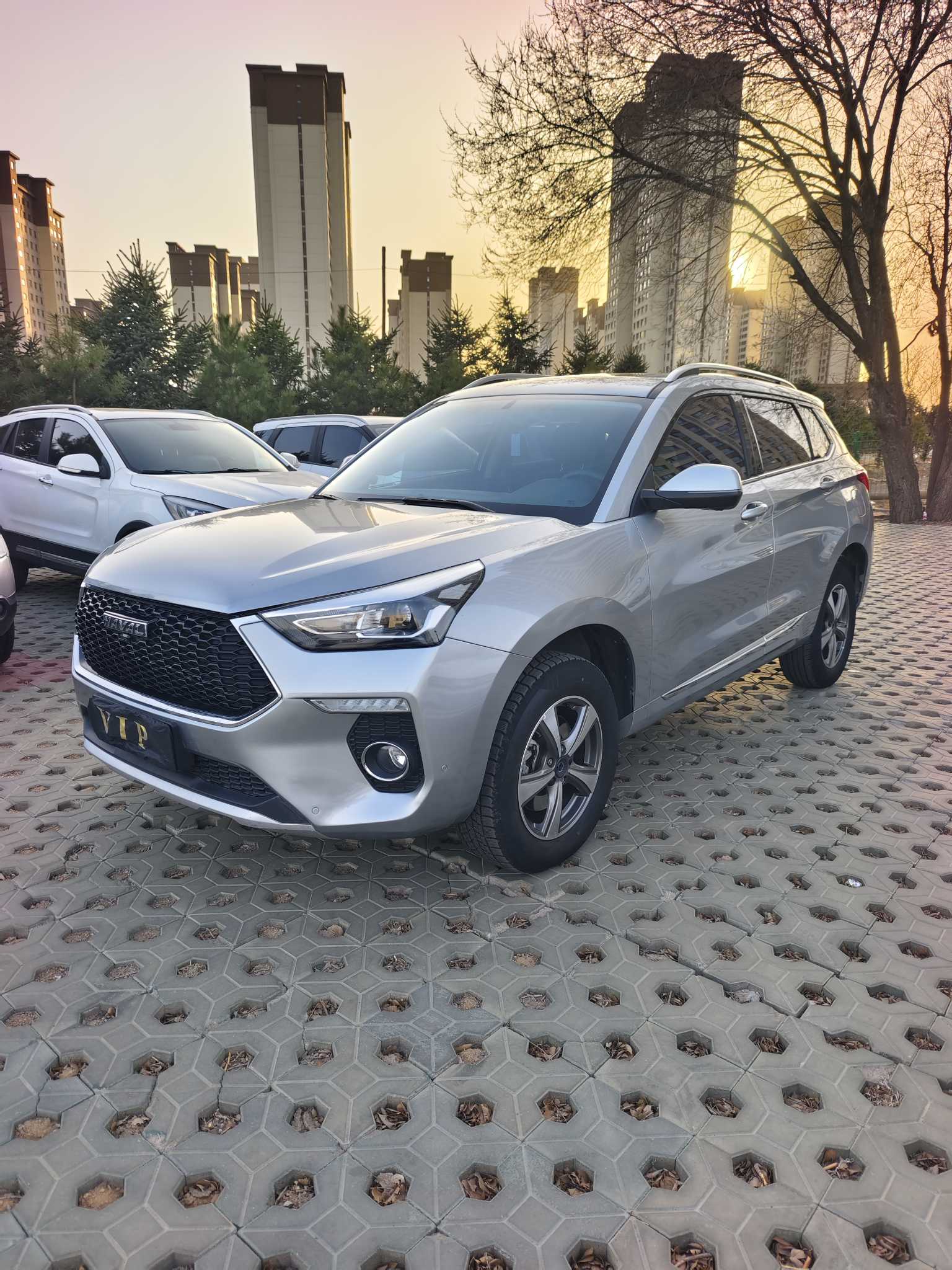 Haval H6 2019 汽车图片 