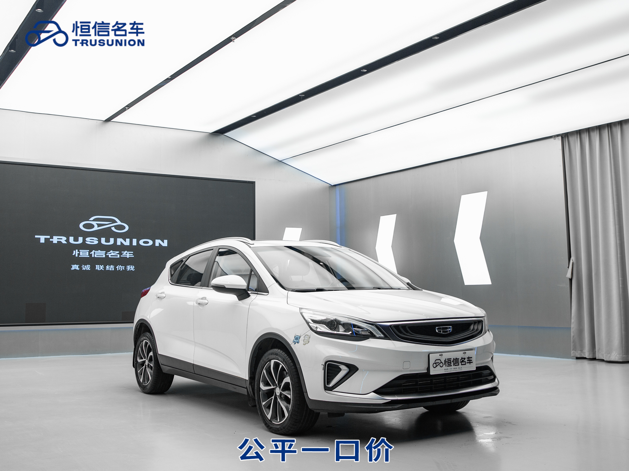 GEELY Emgrand GS 2020 GEELY Emgrand GS 2020 car image