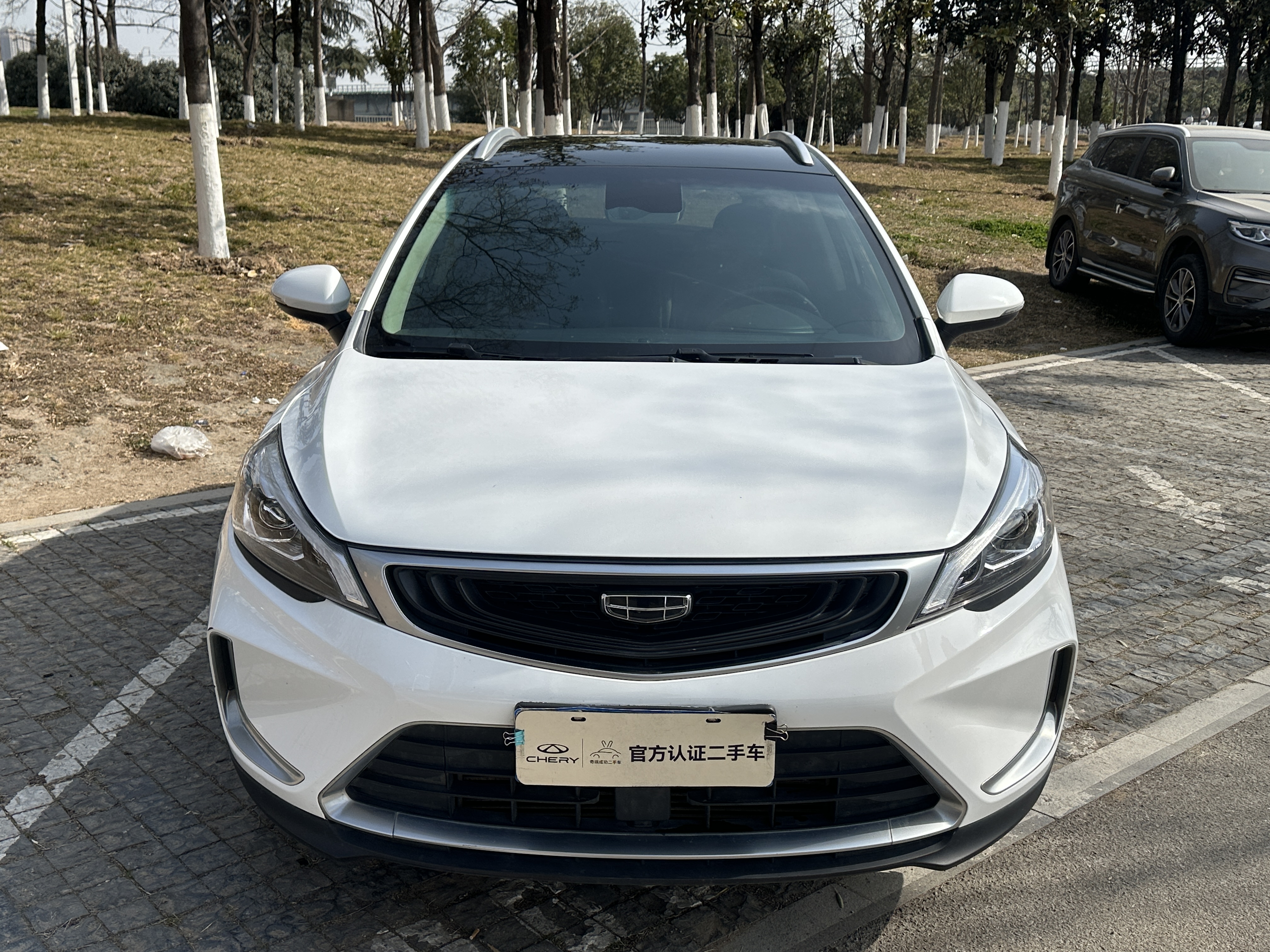 Emgrand GS 2020 Emgrand GS 2020 car image