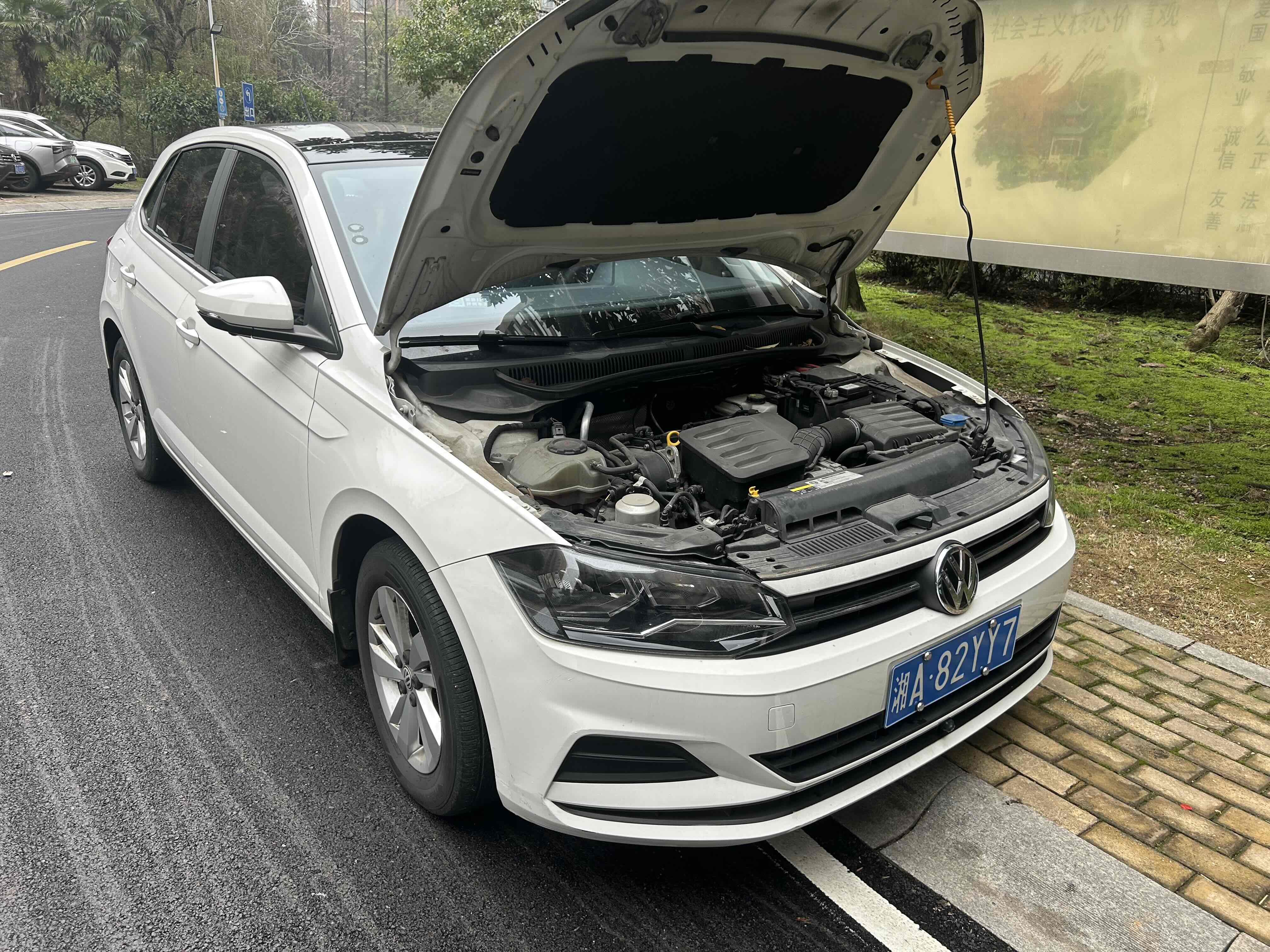 Polo 2021 car image 