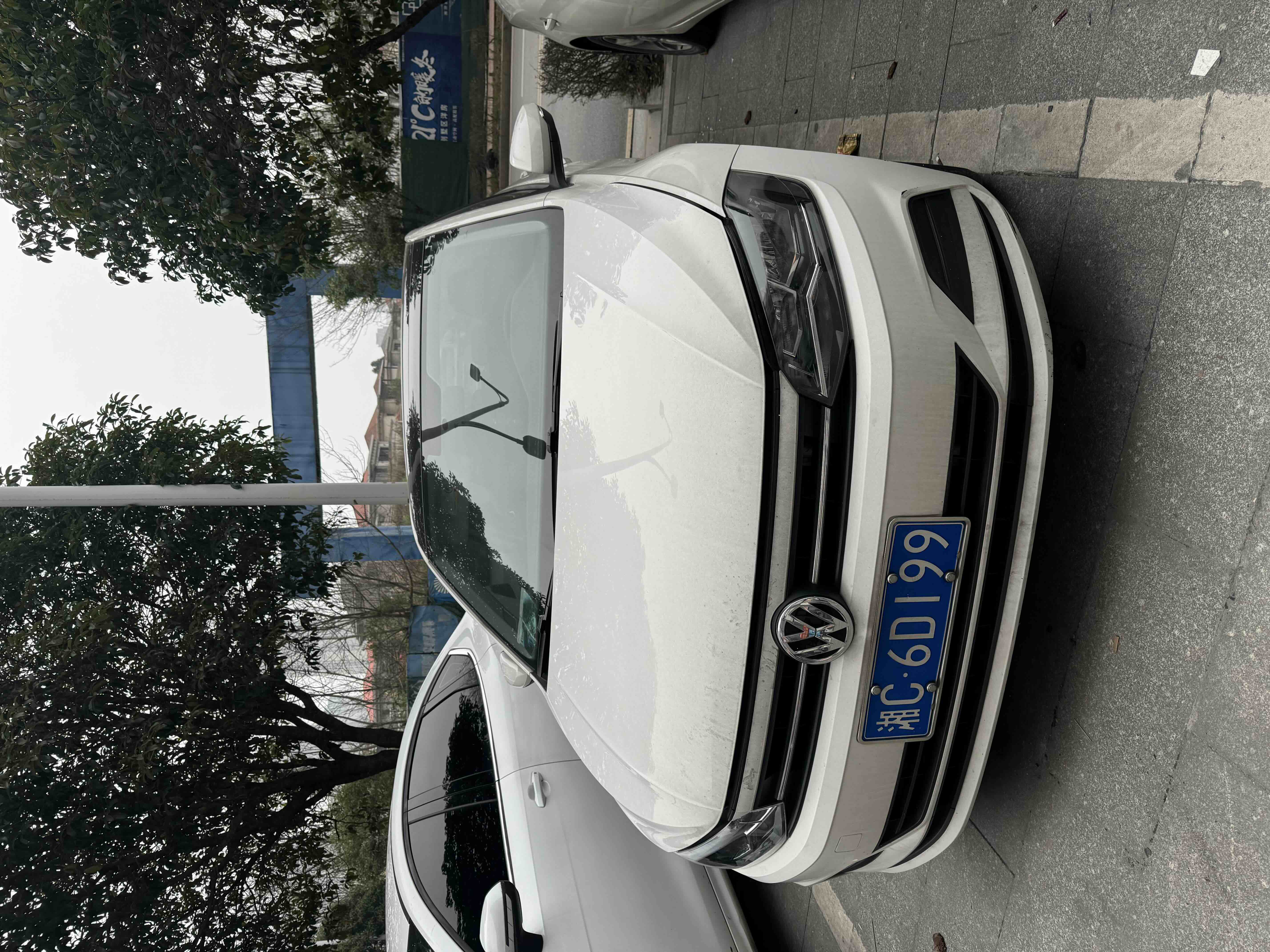 Polo 2020 car image 