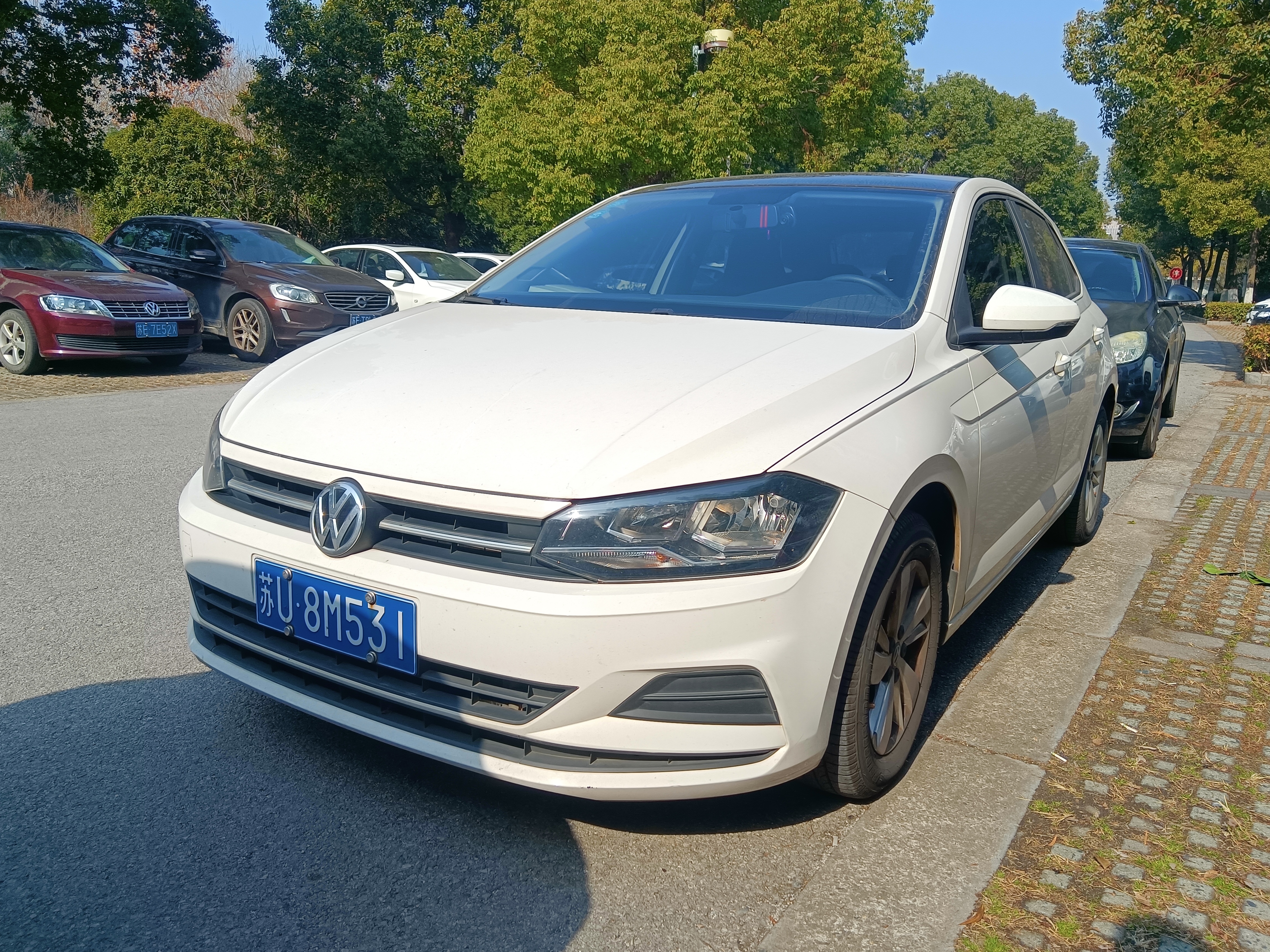 Polo 2020 immagine di auto 