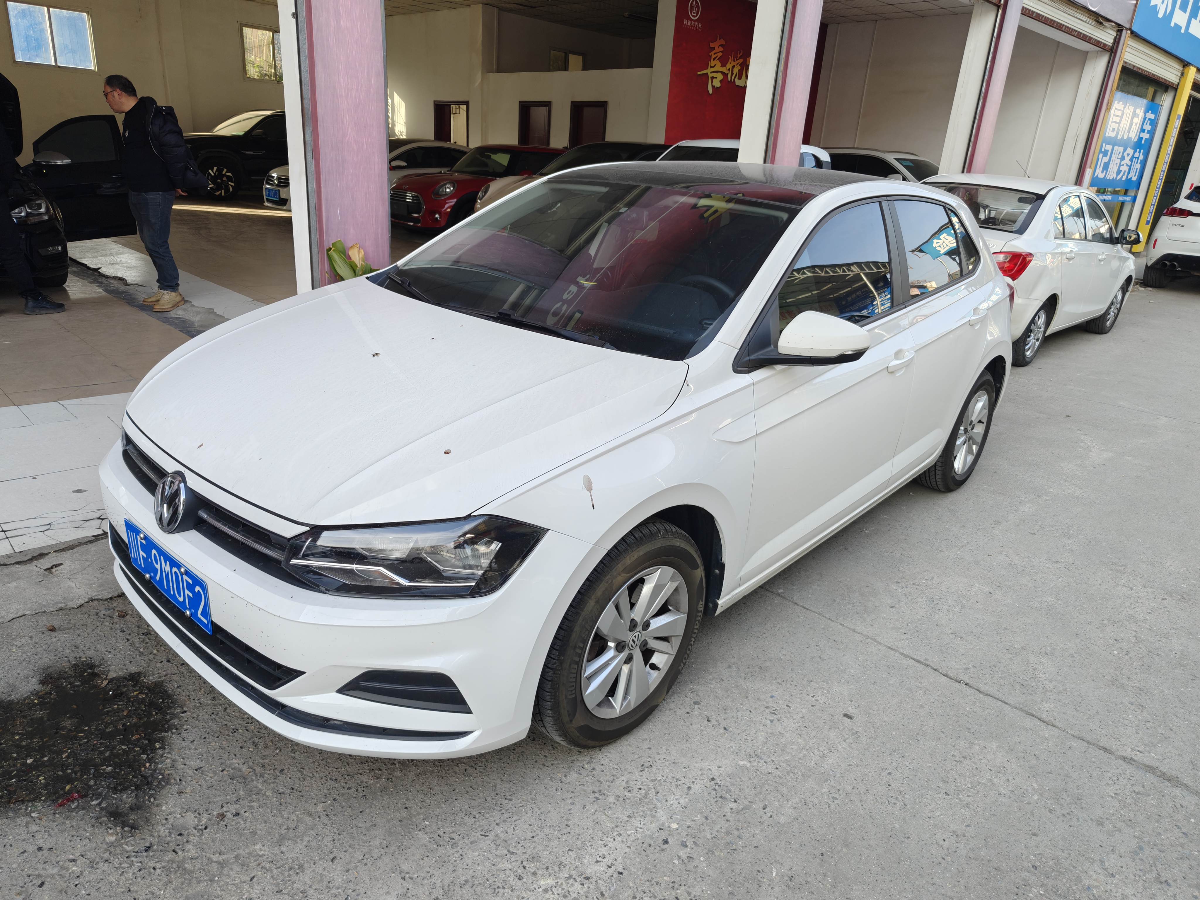 Volkswagen Polo 2021 immagine di auto 