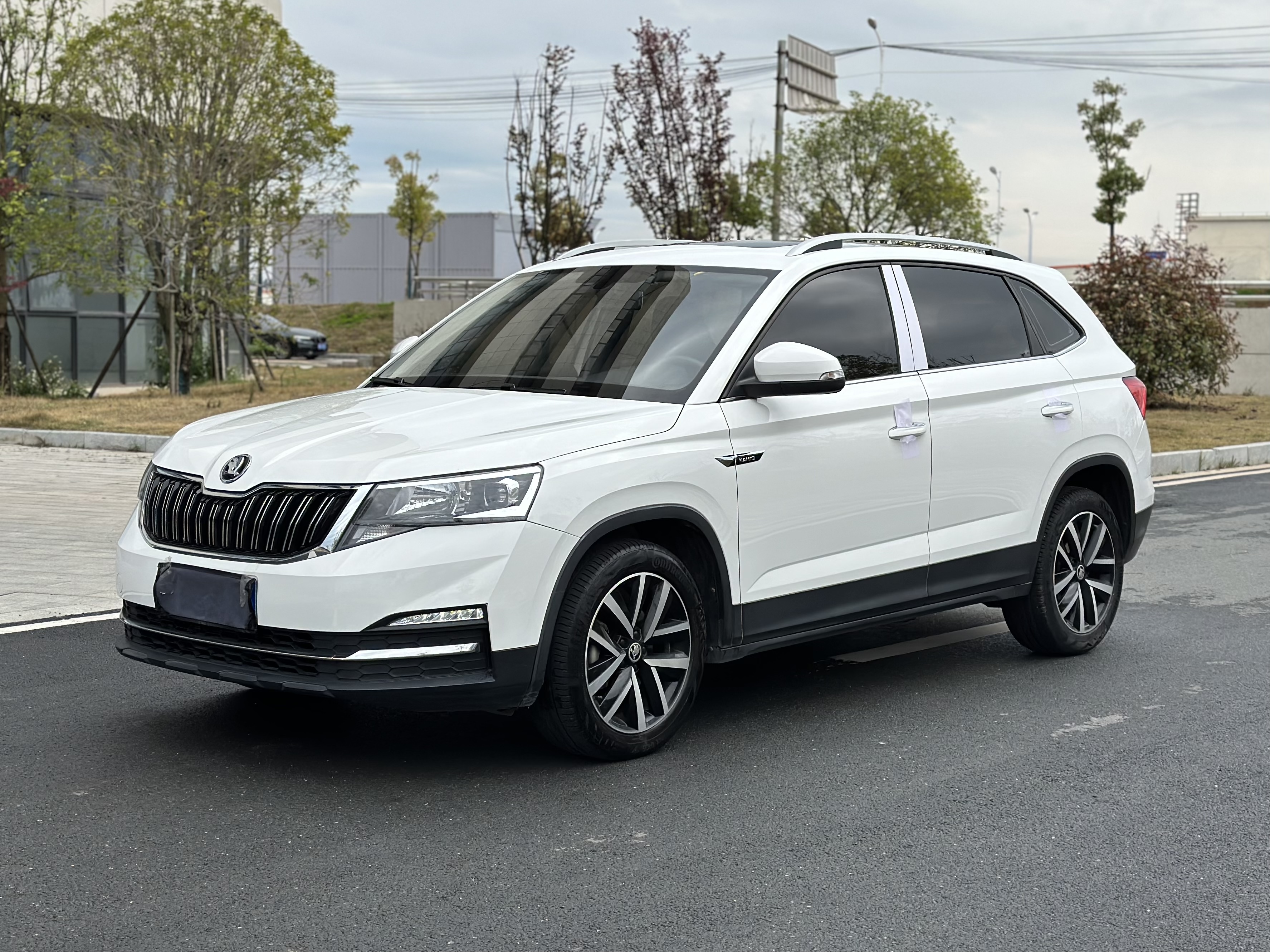 Skoda Kamiq 2019 car image 