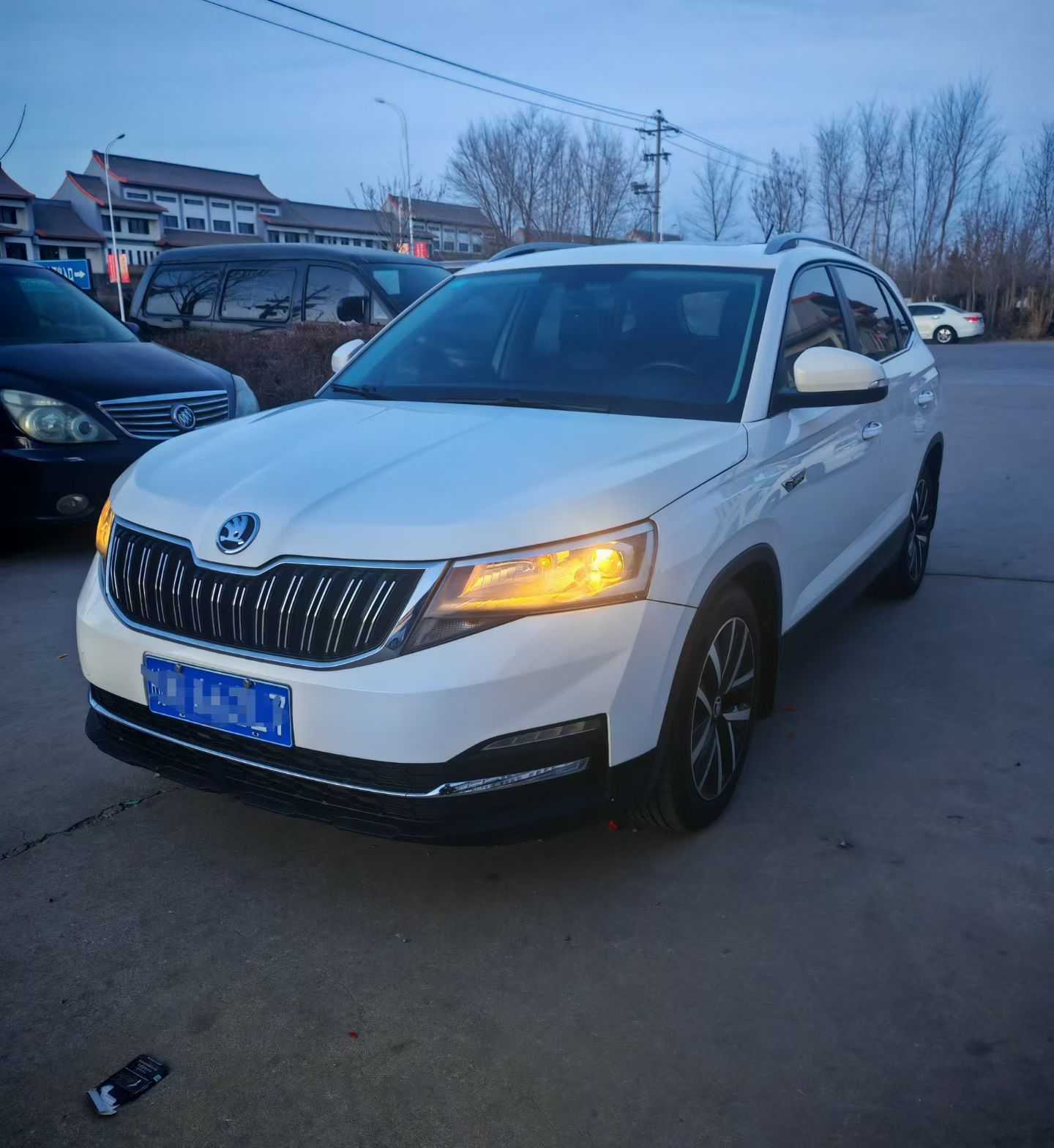 Skoda Kamiq 2019 car image 