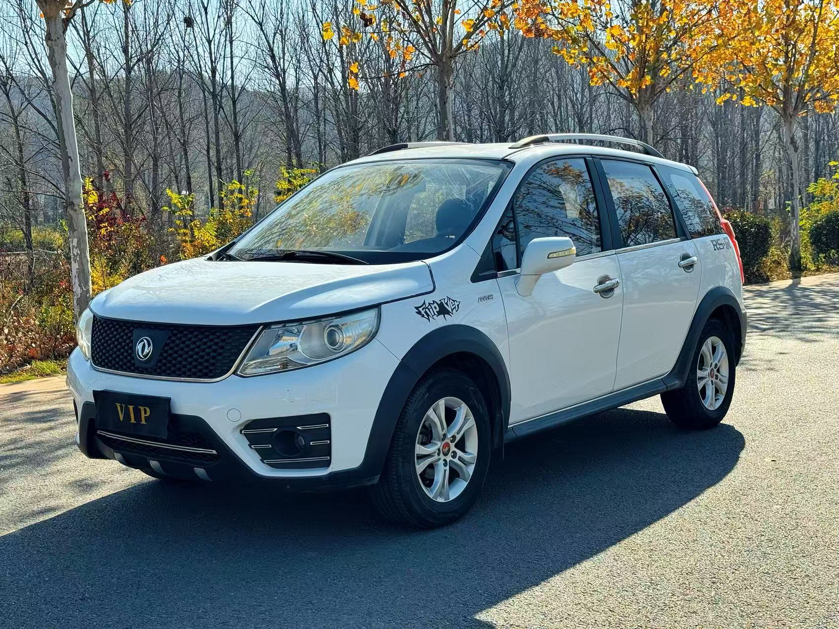 Forthing JOYEAR X3 2014 immagine di auto 