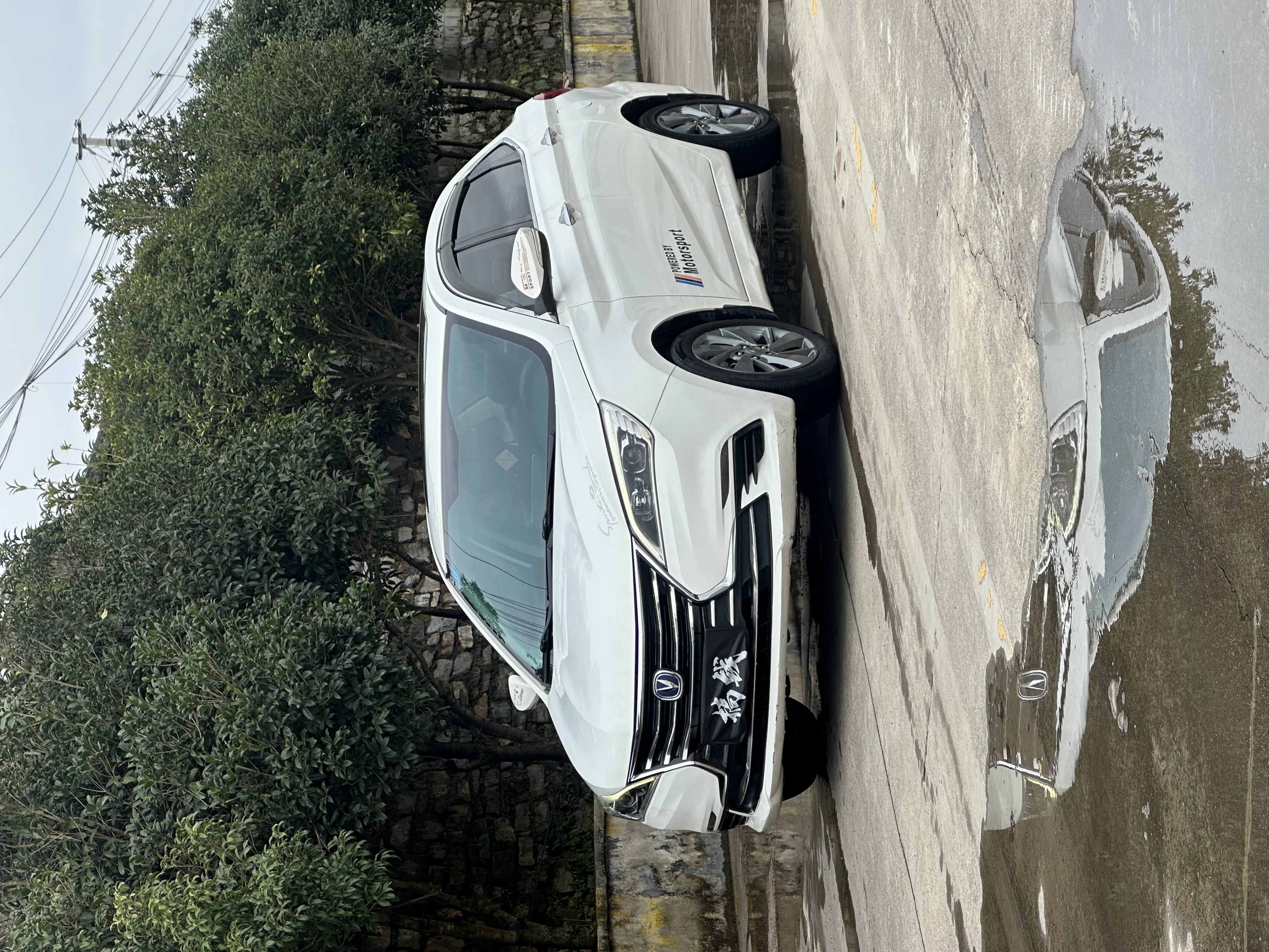 Changan Eado DT 2019 car image 